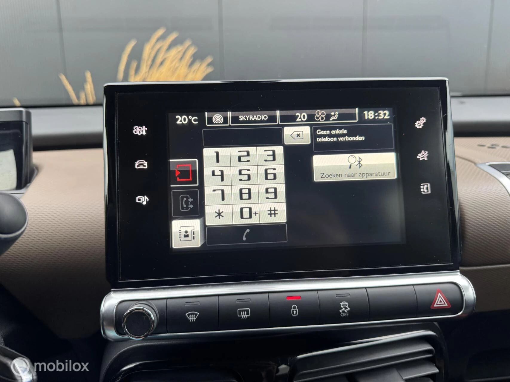 Hoofdafbeelding Citroën C4 Cactus