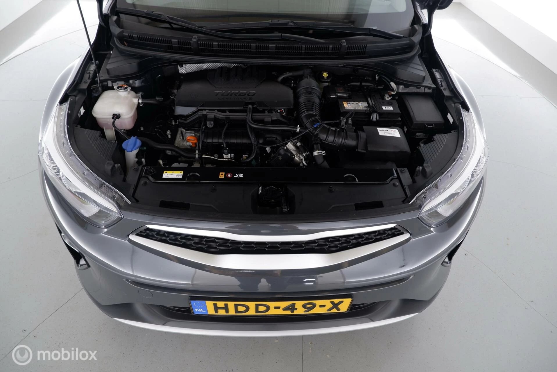Hoofdafbeelding Kia Stonic