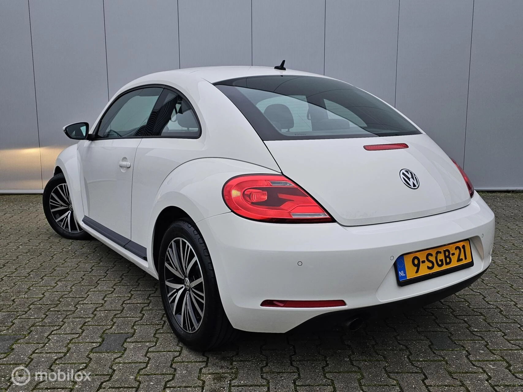 Hoofdafbeelding Volkswagen Beetle