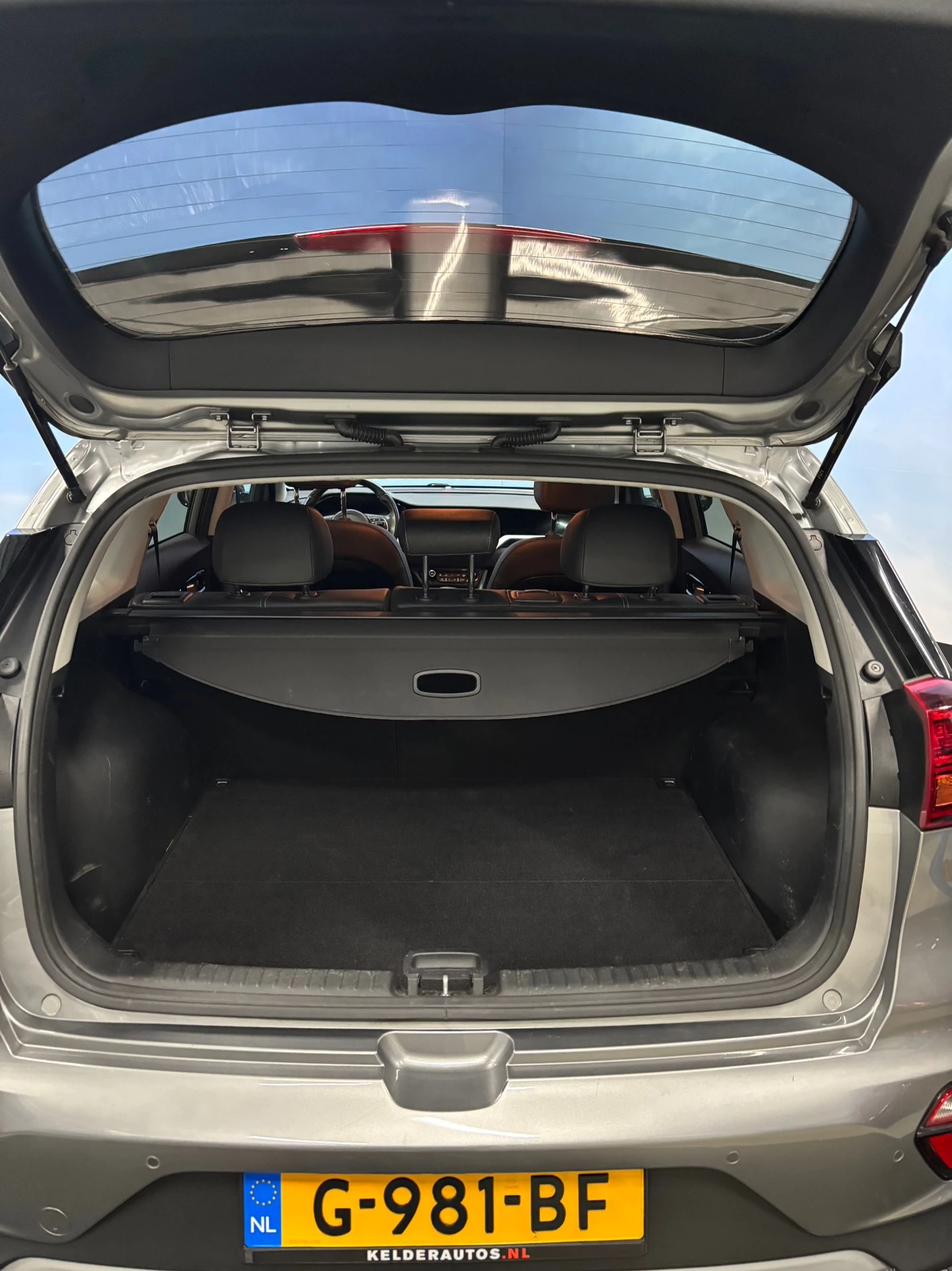 Hoofdafbeelding Kia Niro