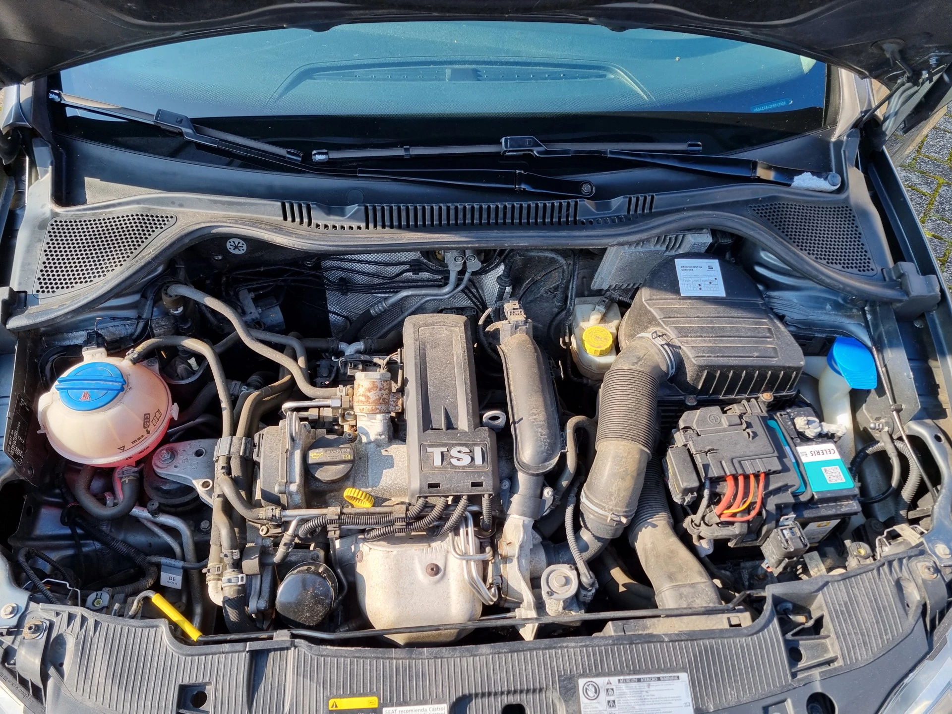 Hoofdafbeelding SEAT Ibiza