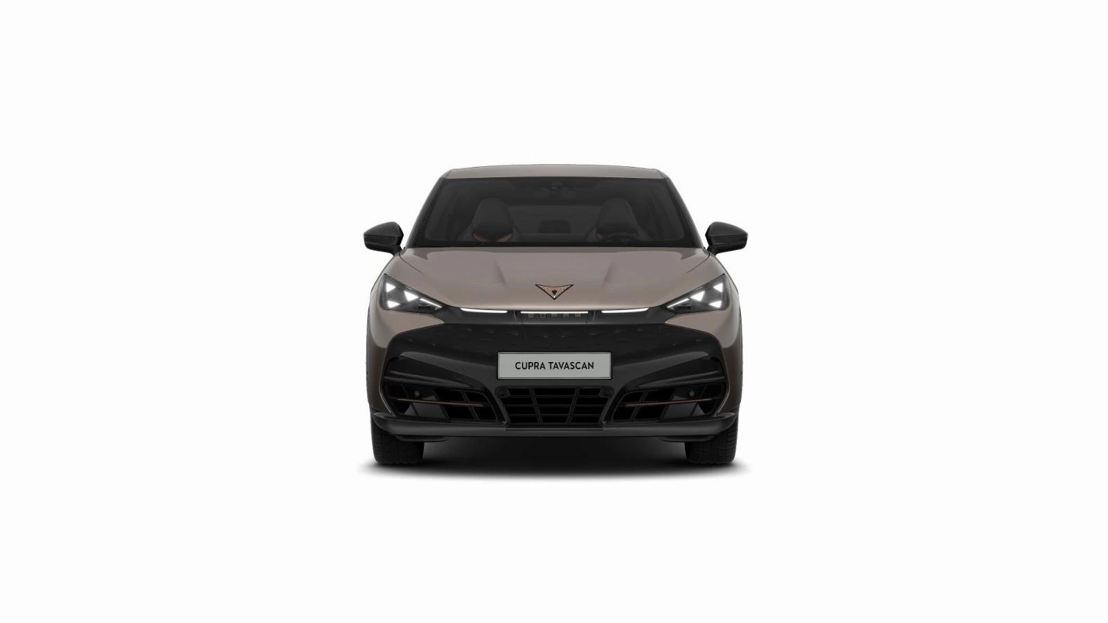 Hoofdafbeelding CUPRA Tavascan