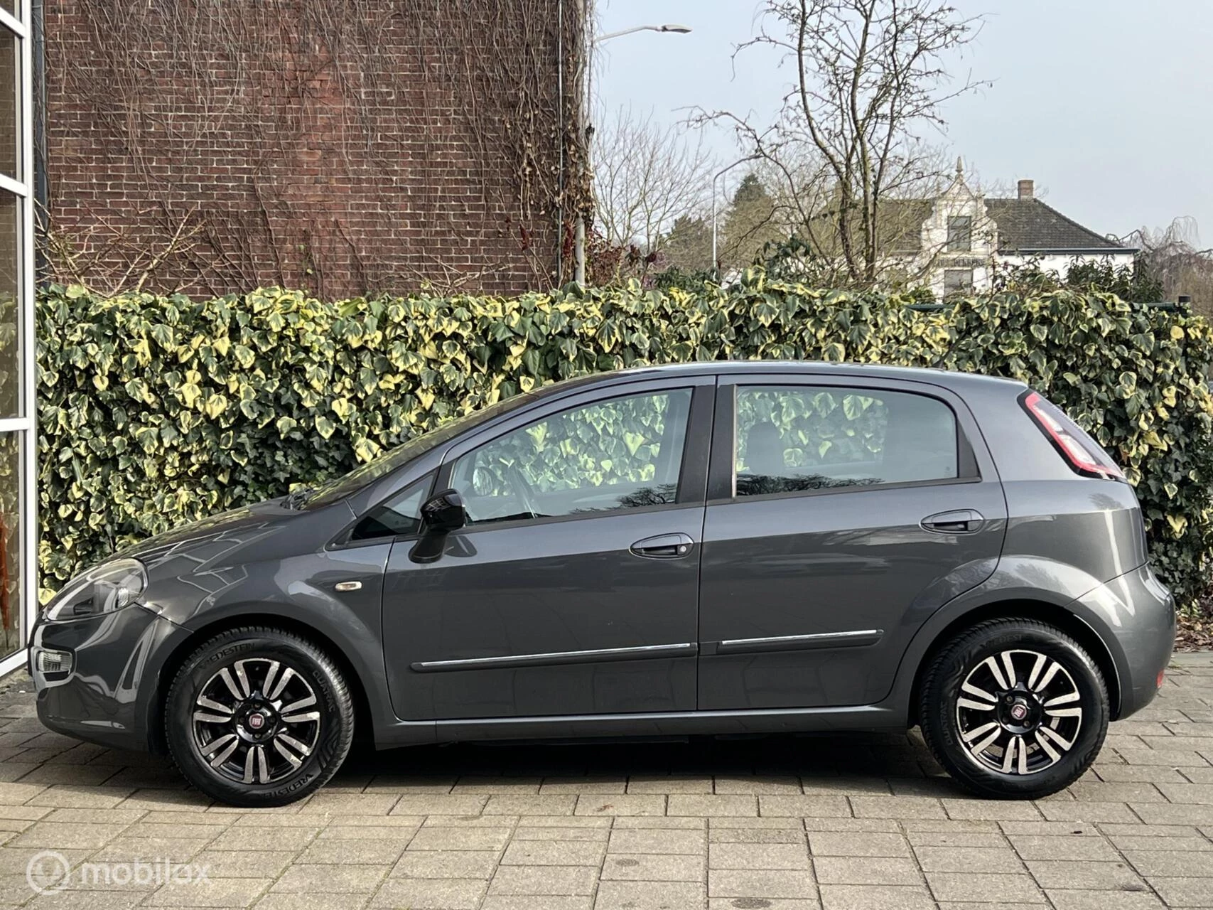 Hoofdafbeelding Fiat Punto