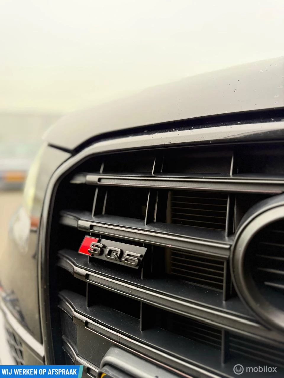 Hoofdafbeelding Audi SQ5
