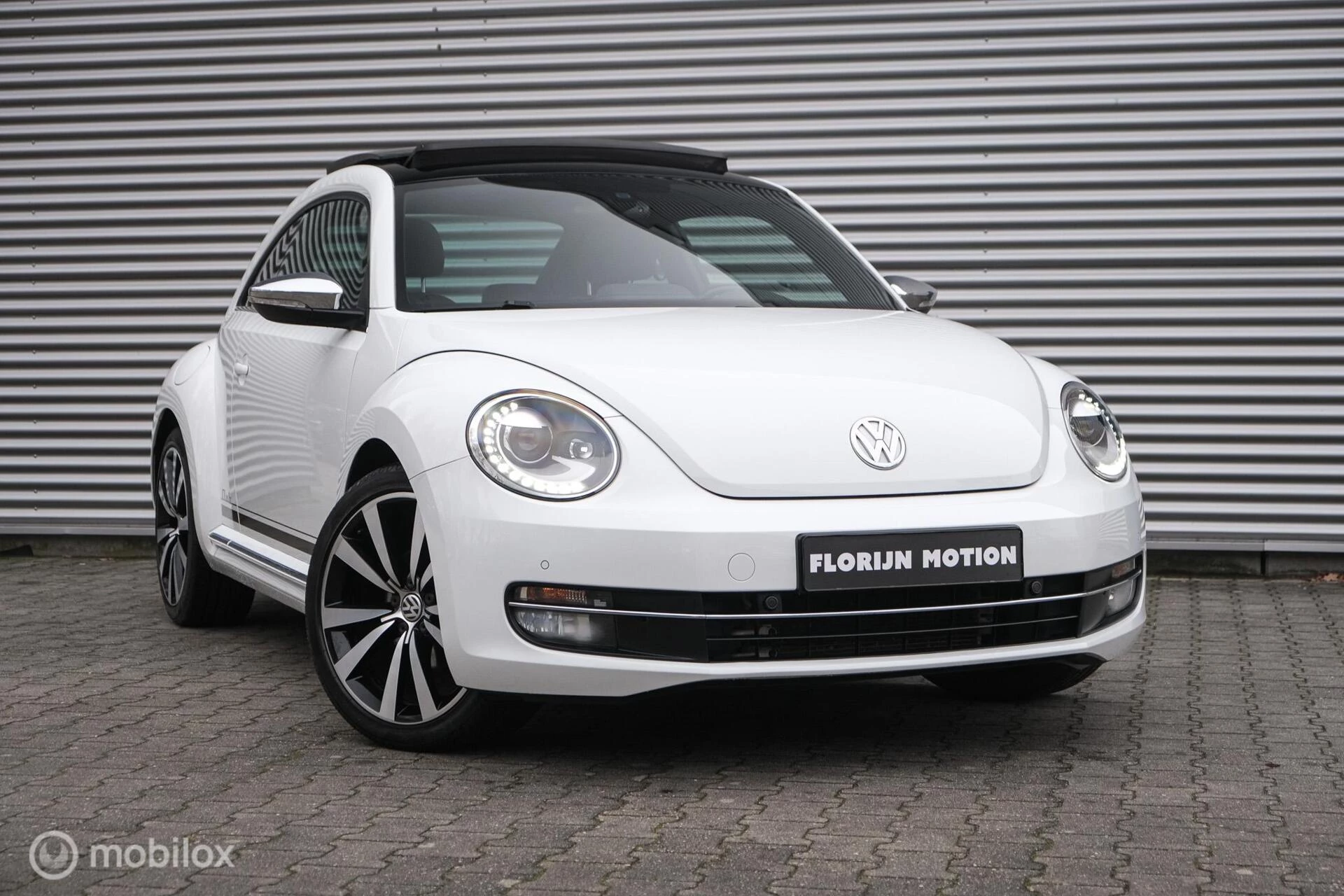 Hoofdafbeelding Volkswagen Beetle