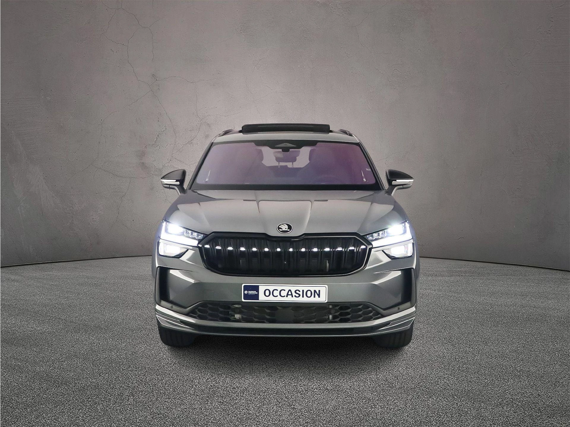 Hoofdafbeelding Škoda Kodiaq