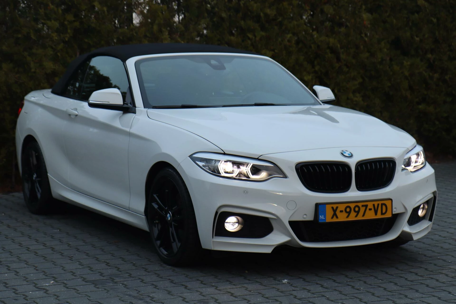 Hoofdafbeelding BMW 2 Serie