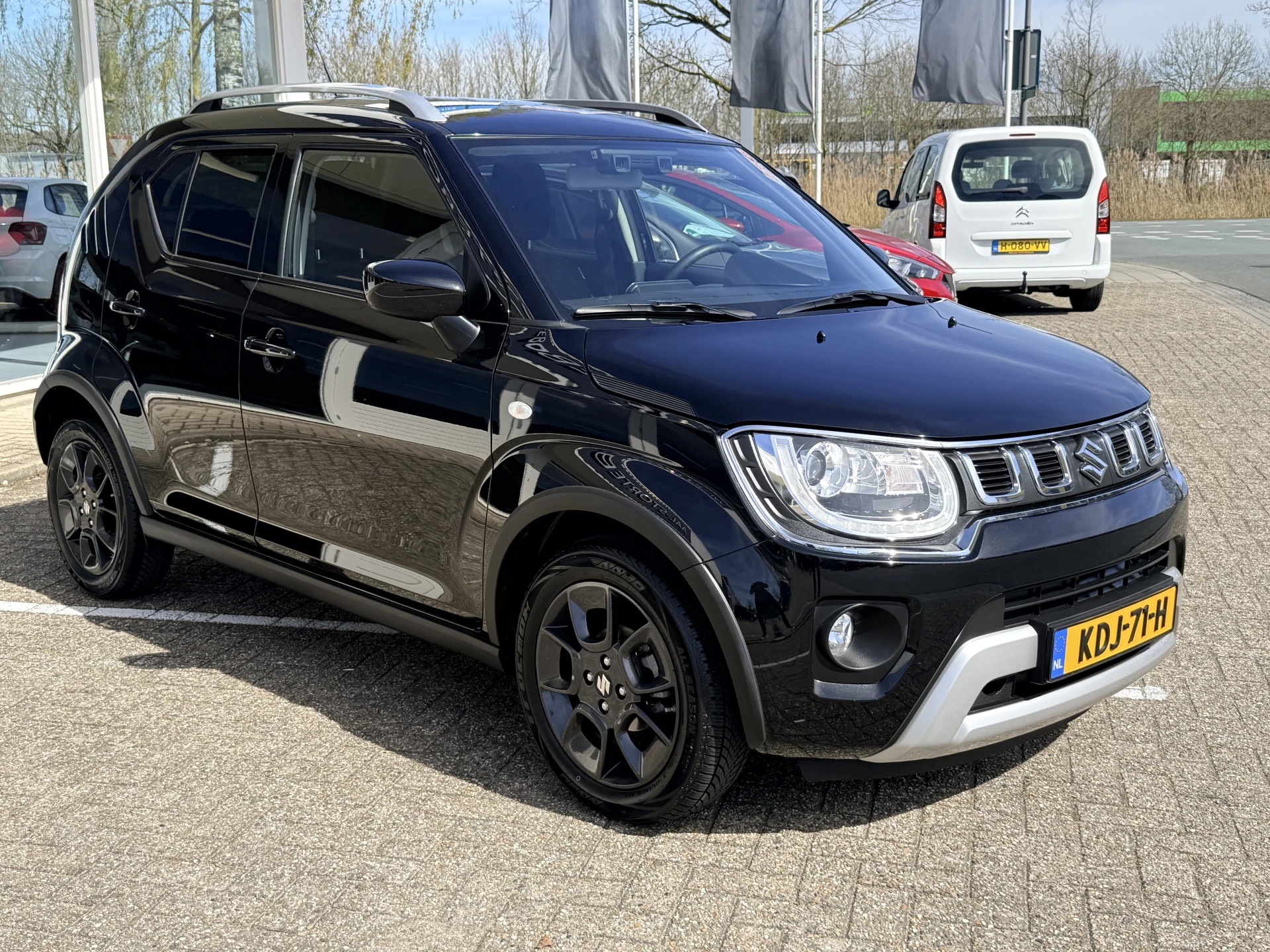 Hoofdafbeelding Suzuki Ignis
