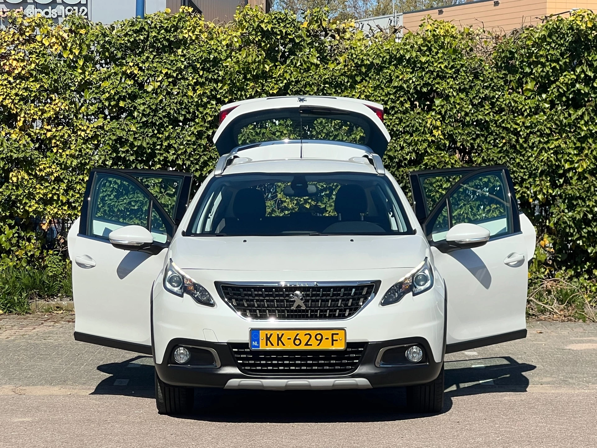 Hoofdafbeelding Peugeot 2008