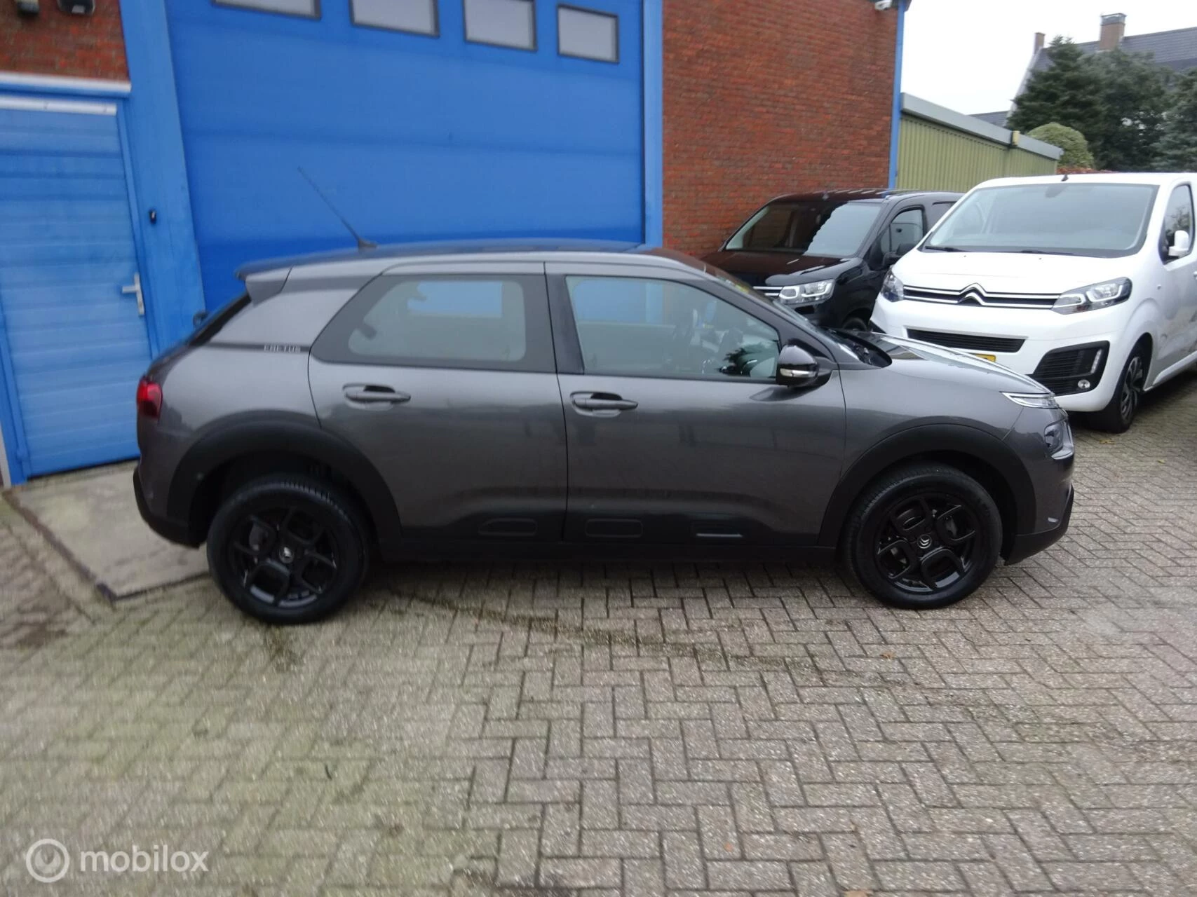 Hoofdafbeelding Citroën C4 Cactus