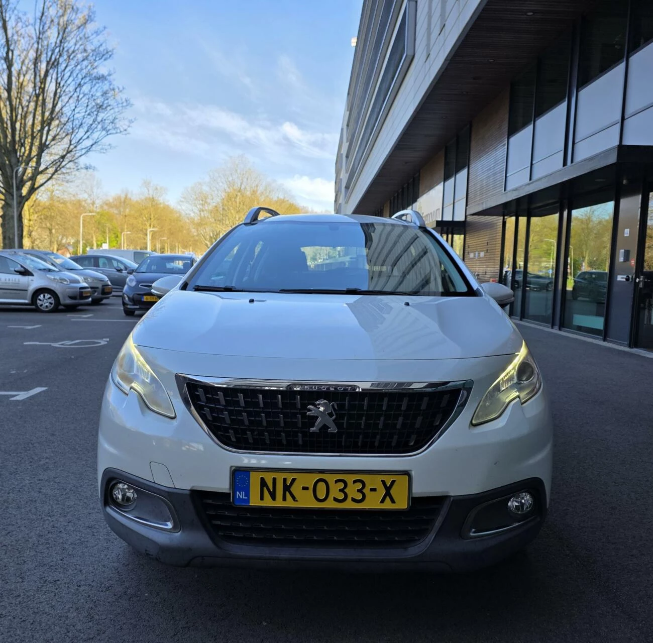 Hoofdafbeelding Peugeot 2008