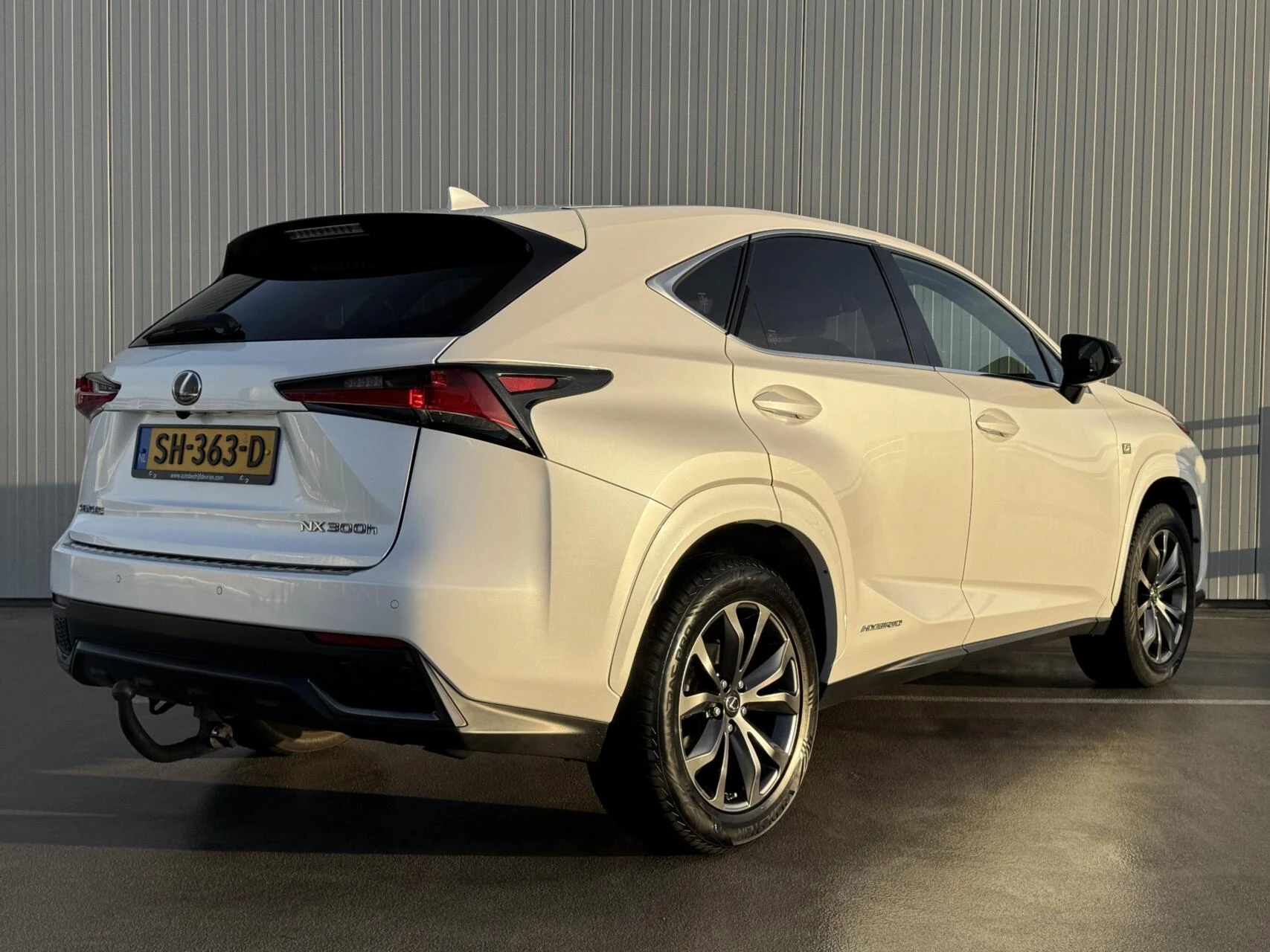 Hoofdafbeelding Lexus NX