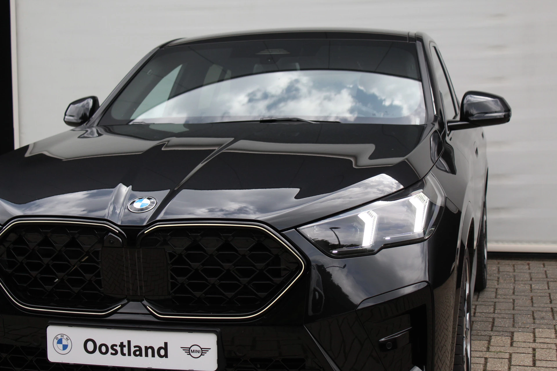 Hoofdafbeelding BMW X2