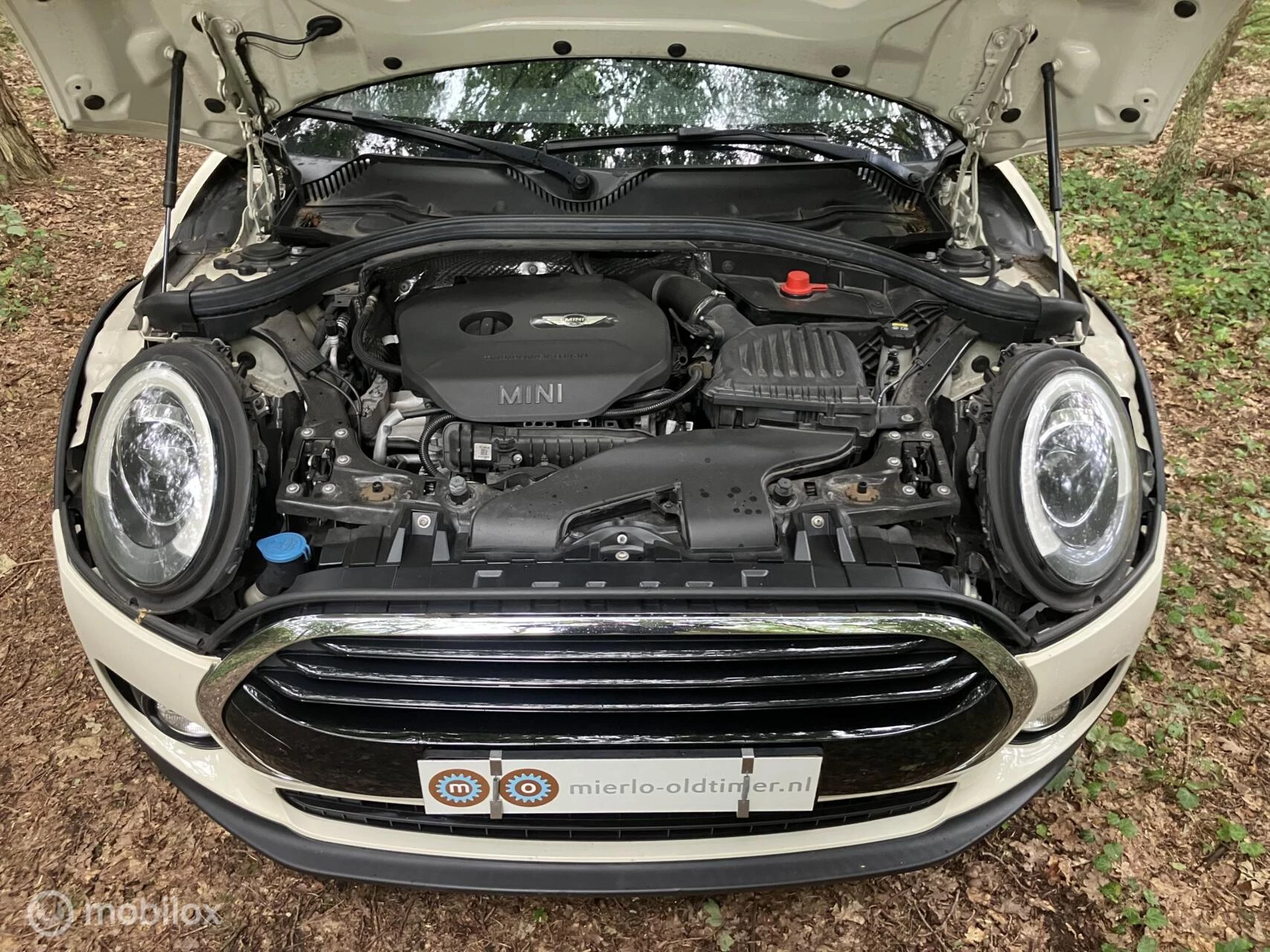 Hoofdafbeelding MINI Clubman