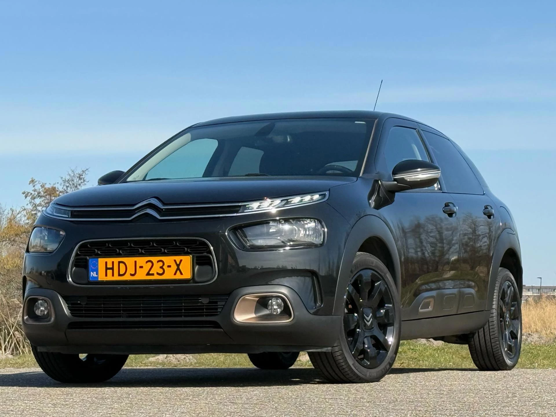 Hoofdafbeelding Citroën C4 Cactus