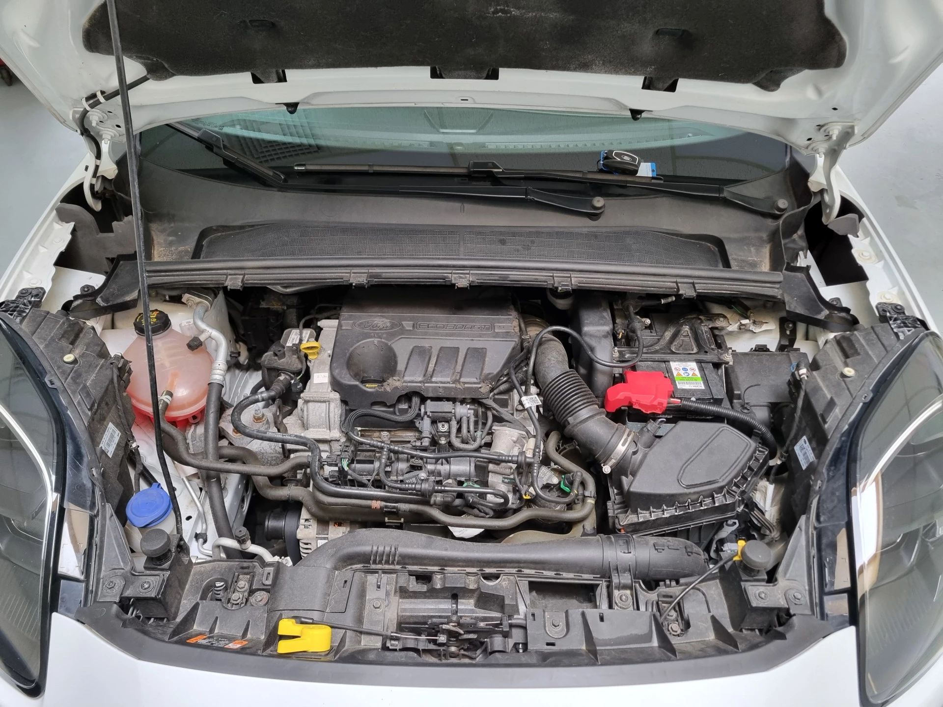 Hoofdafbeelding Ford Puma