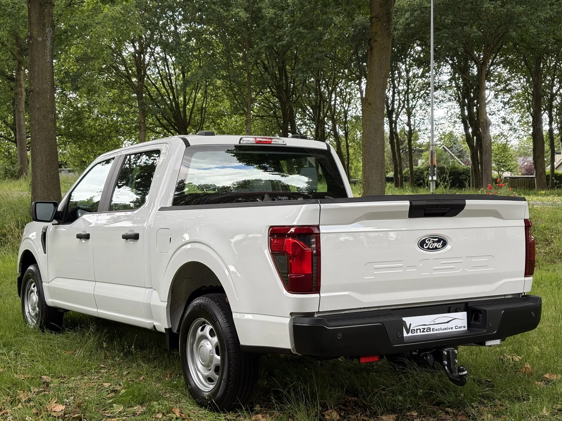 Hoofdafbeelding Ford F-150