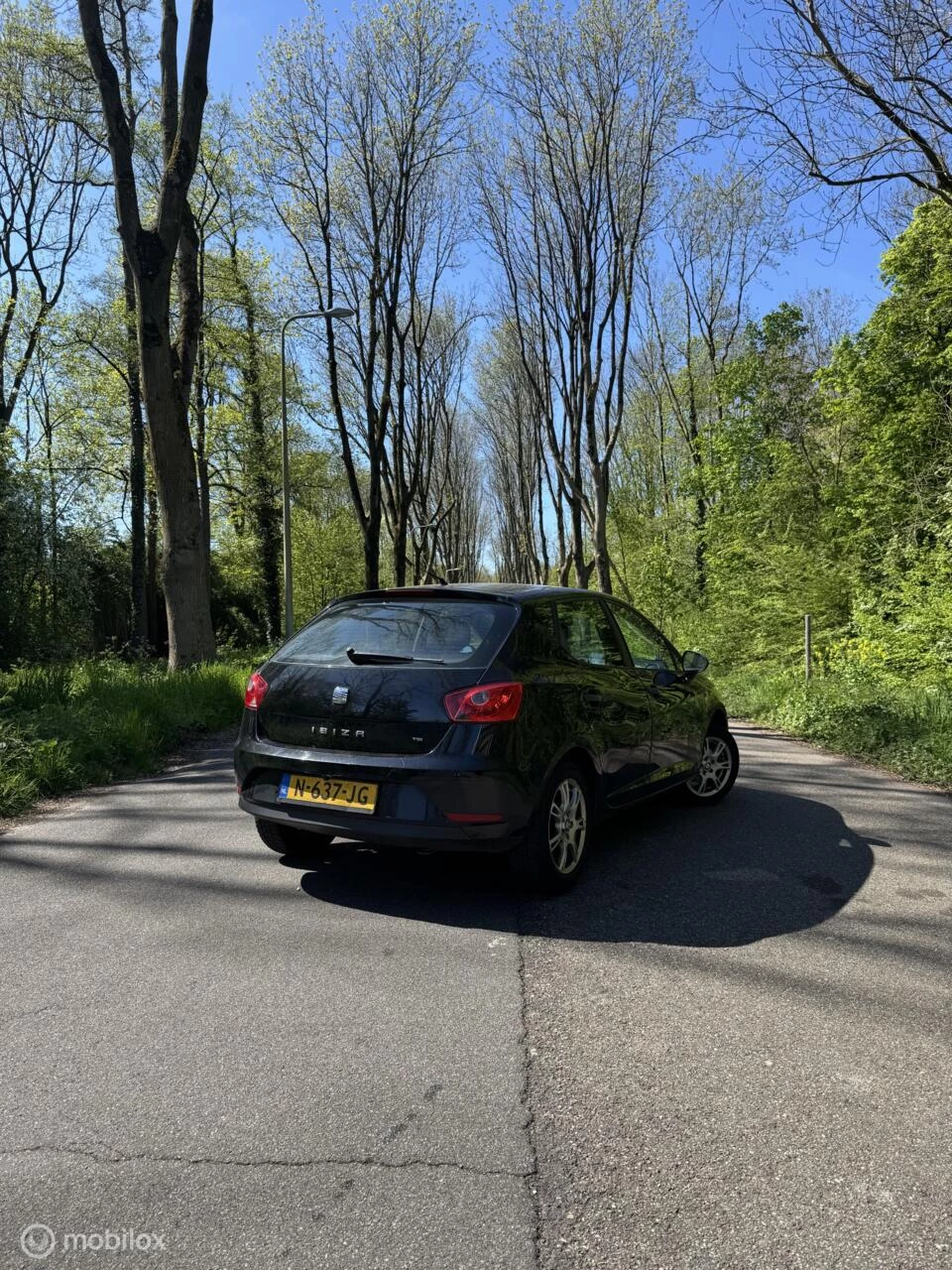 Hoofdafbeelding SEAT Ibiza