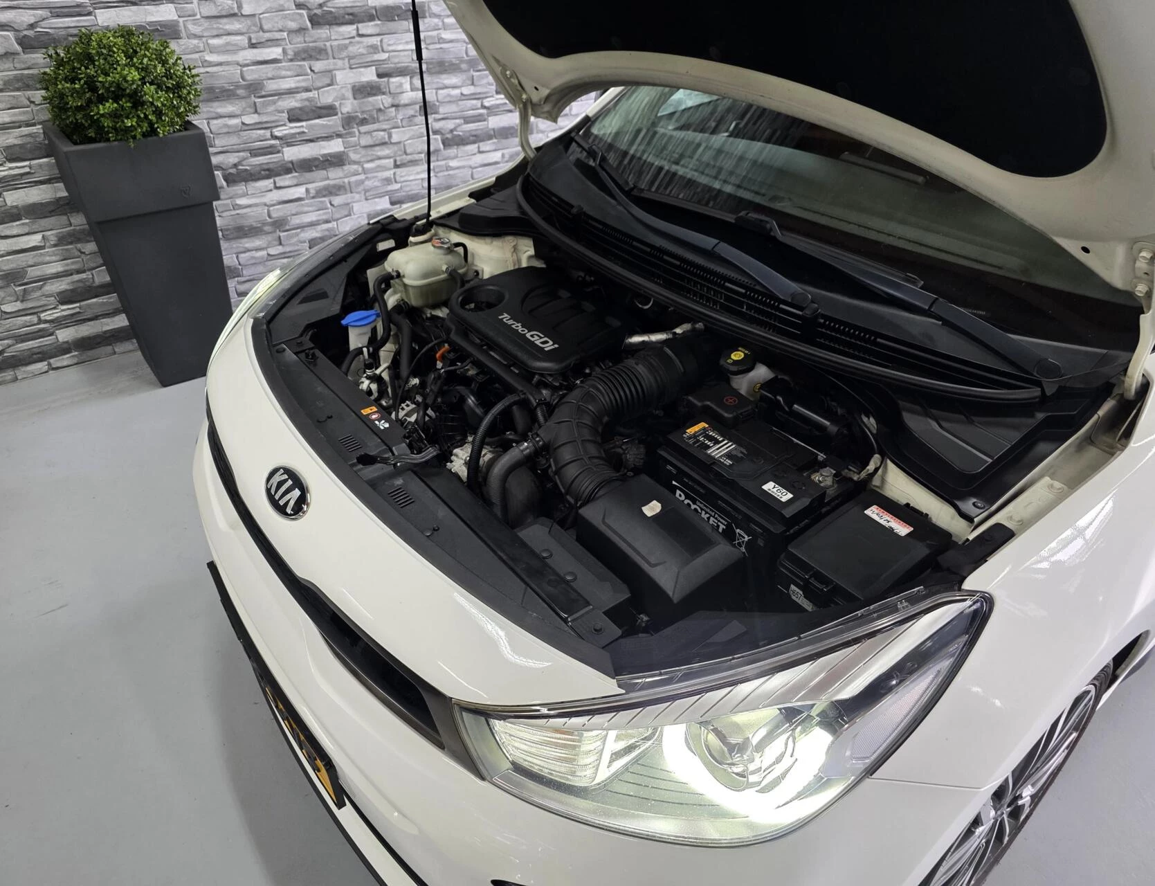 Hoofdafbeelding Kia Rio