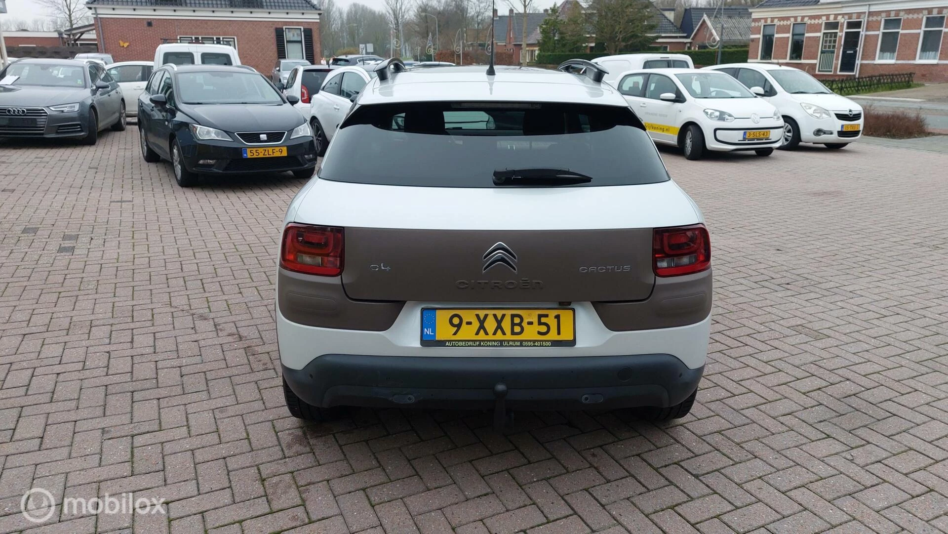 Hoofdafbeelding Citroën C4 Cactus