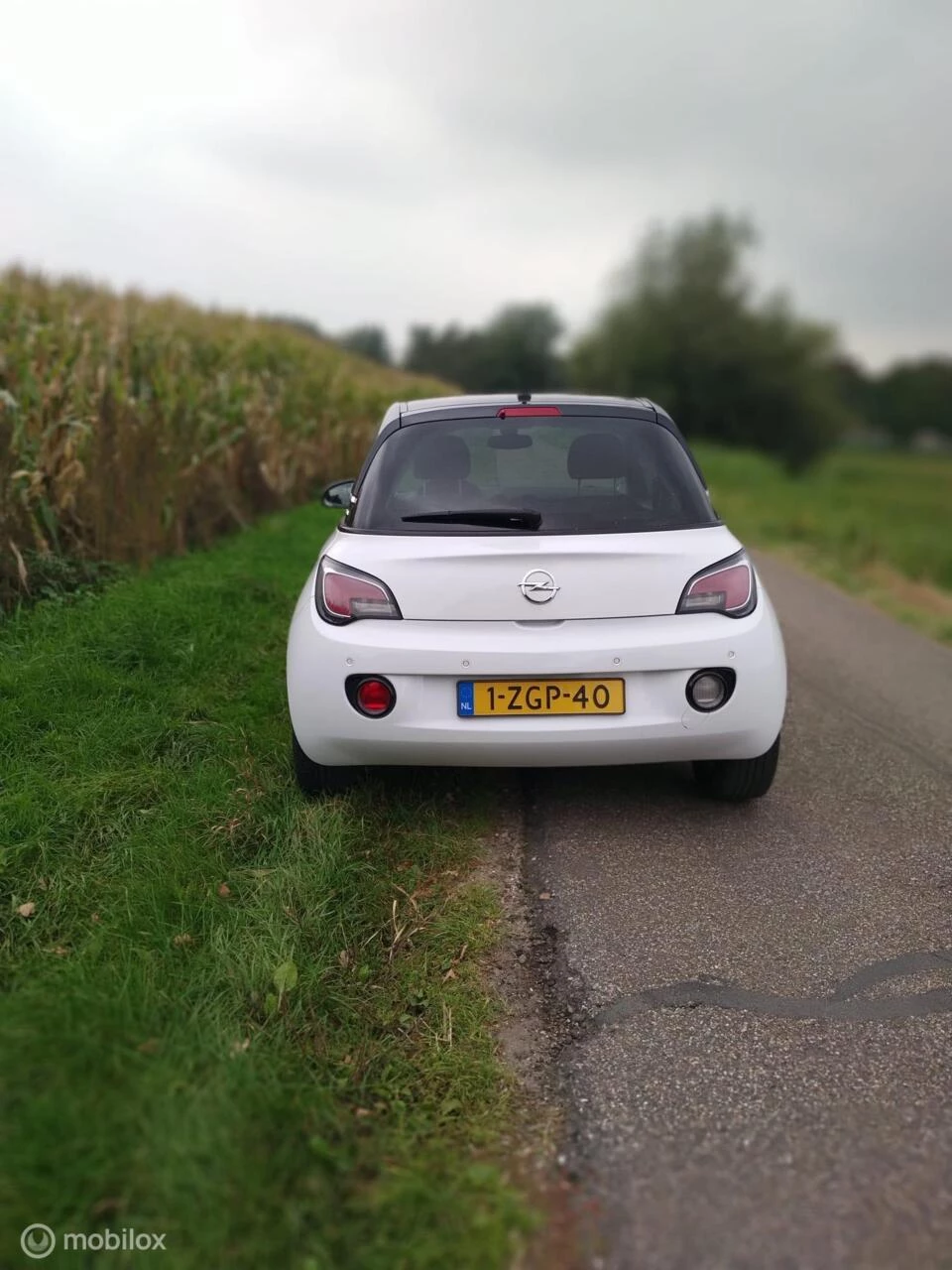Hoofdafbeelding Opel ADAM
