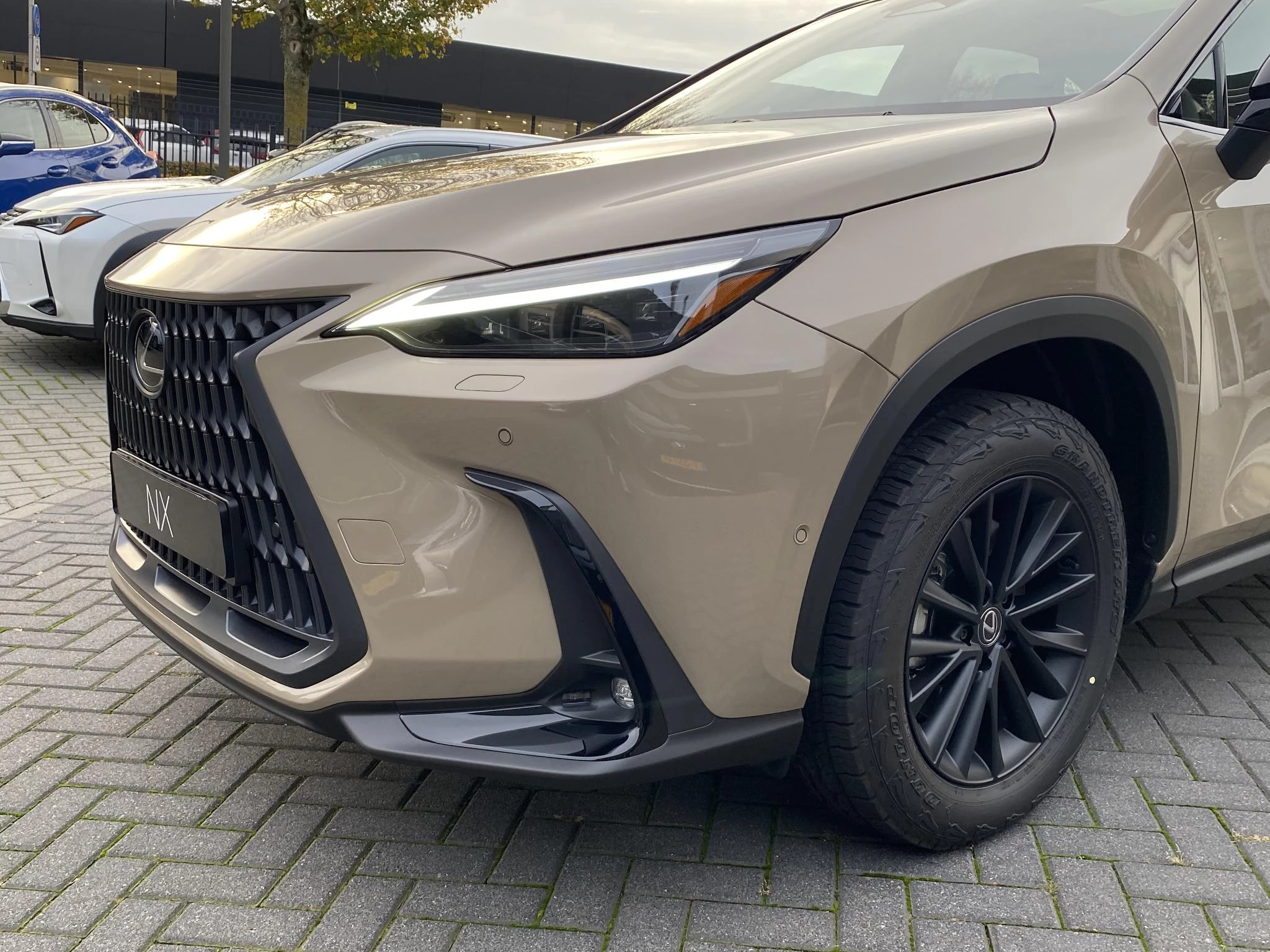 Hoofdafbeelding Lexus NX