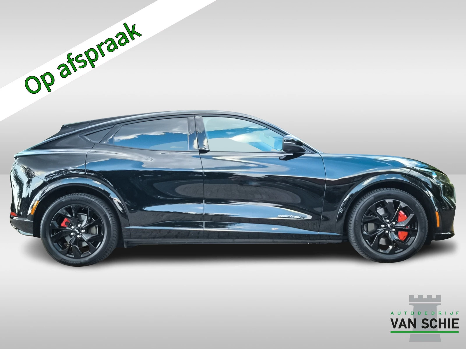 Hoofdafbeelding Ford Mustang Mach-E