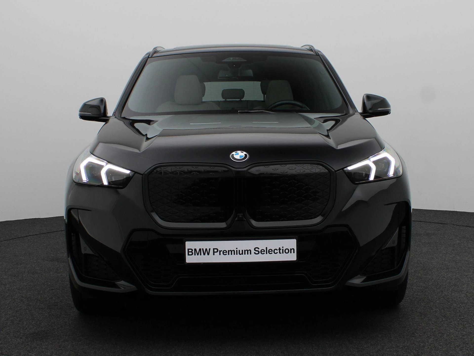Hoofdafbeelding BMW iX1