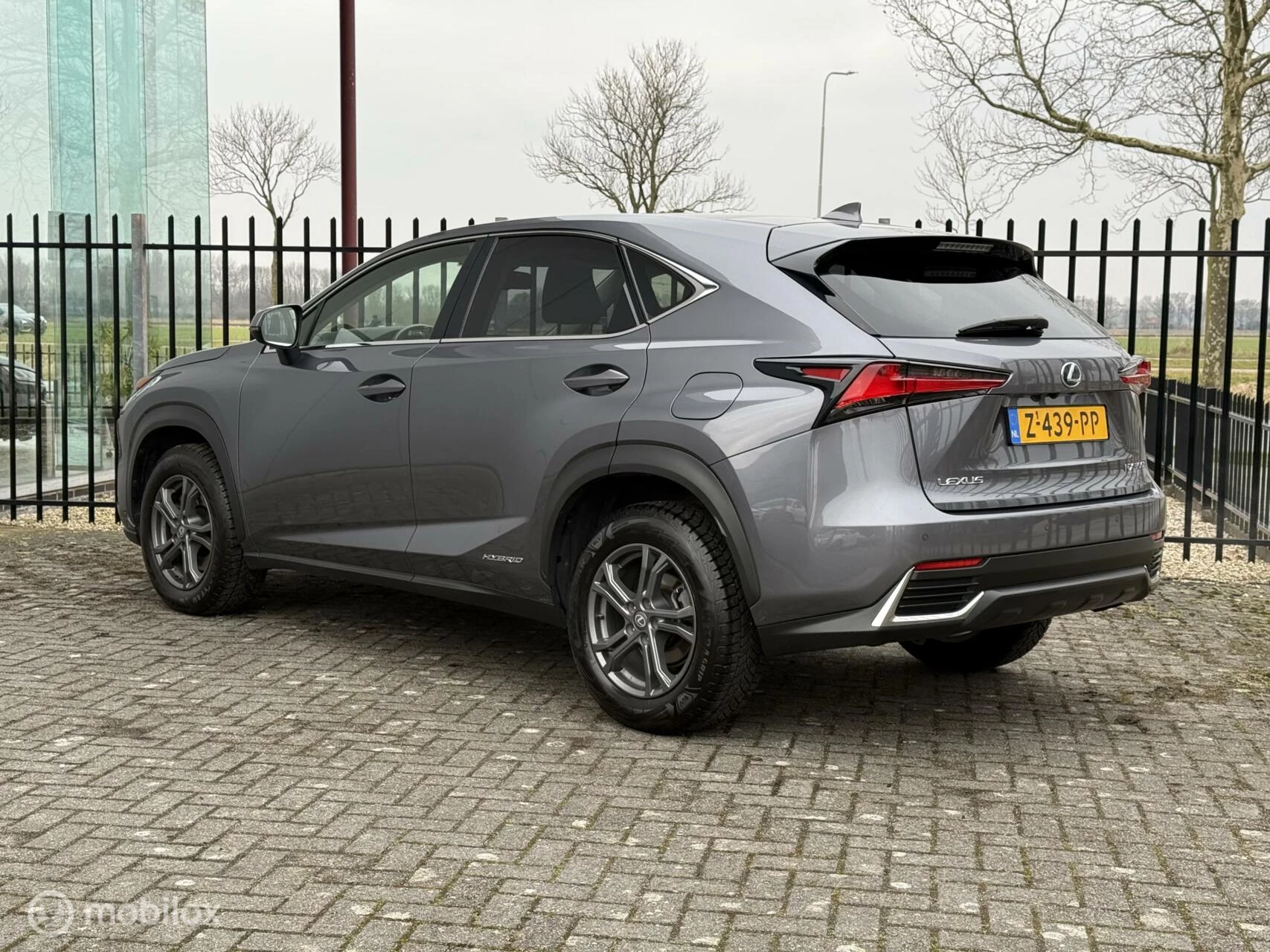 Hoofdafbeelding Lexus NX