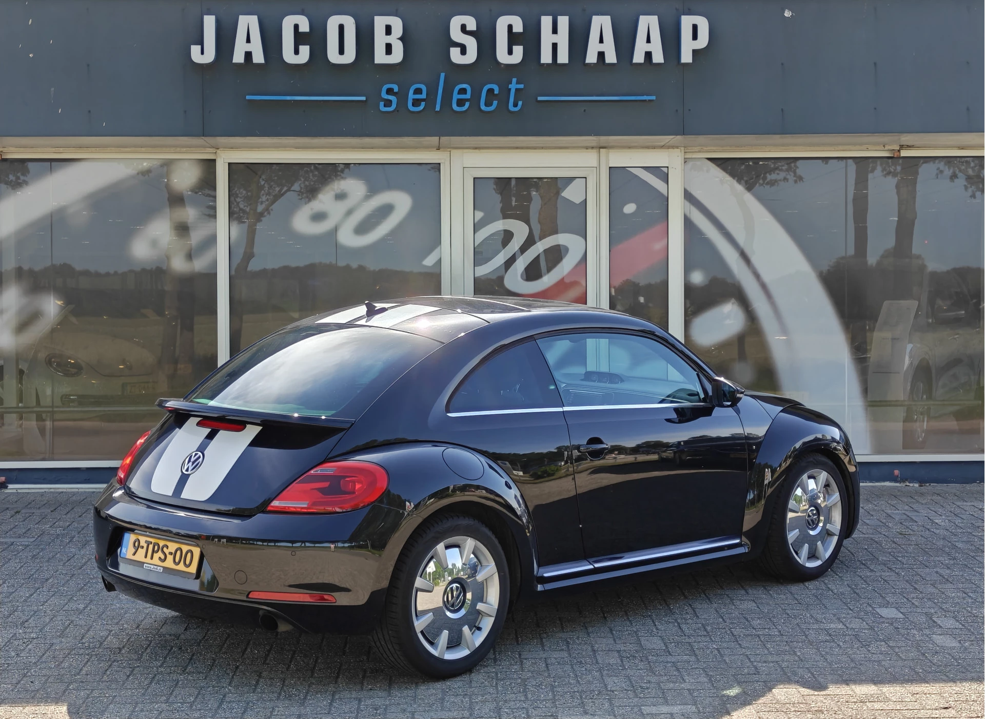 Hoofdafbeelding Volkswagen Beetle
