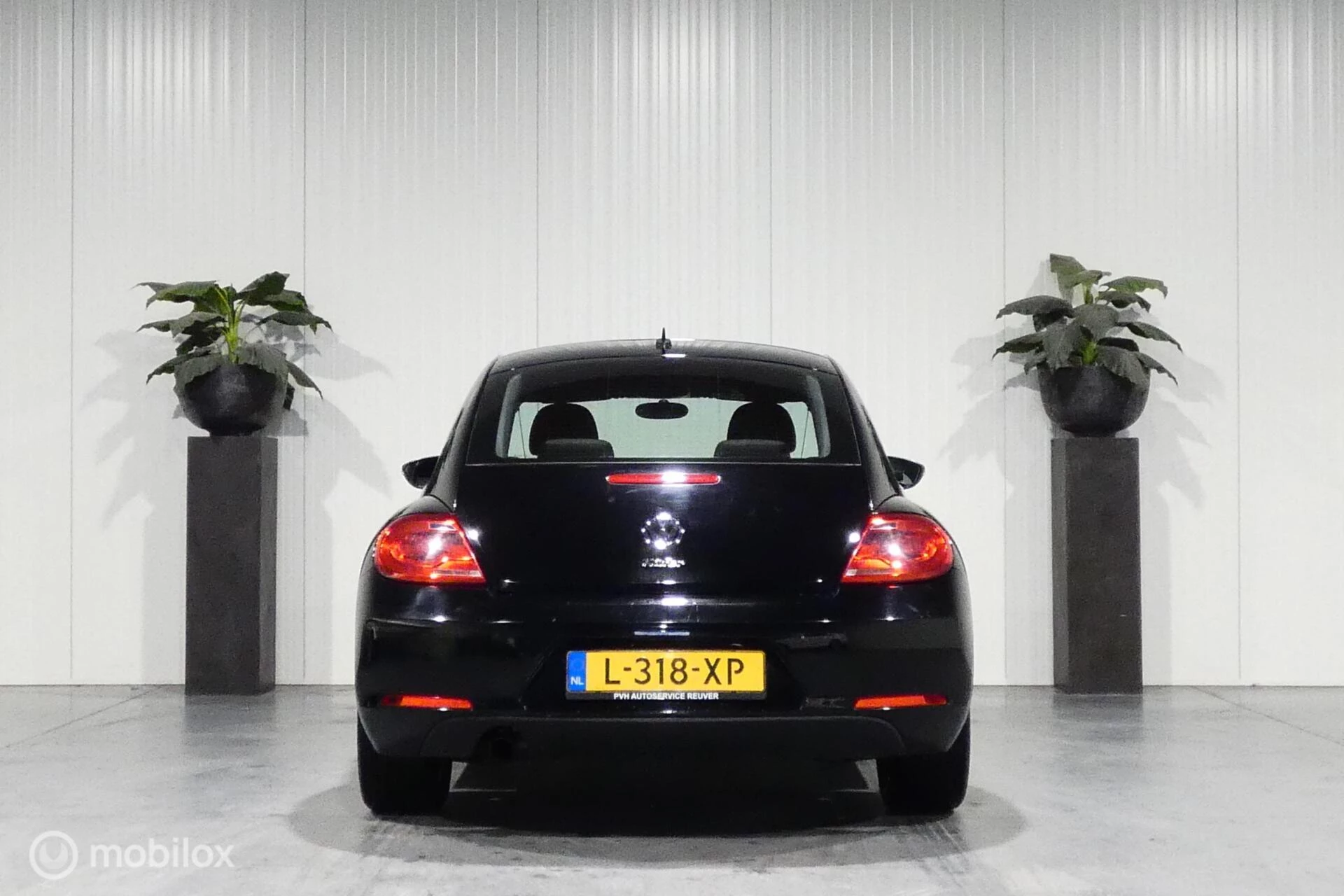 Hoofdafbeelding Volkswagen Beetle