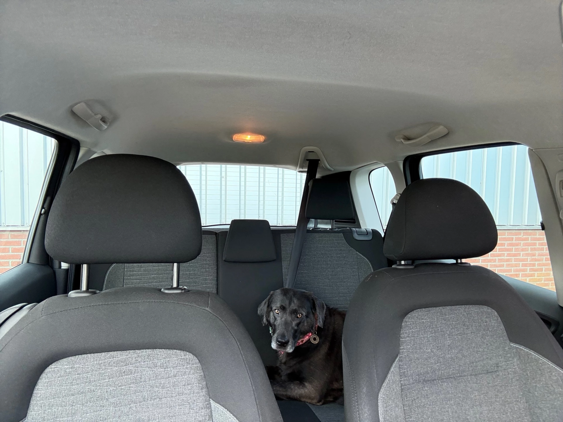 Hoofdafbeelding Citroën C3 Picasso