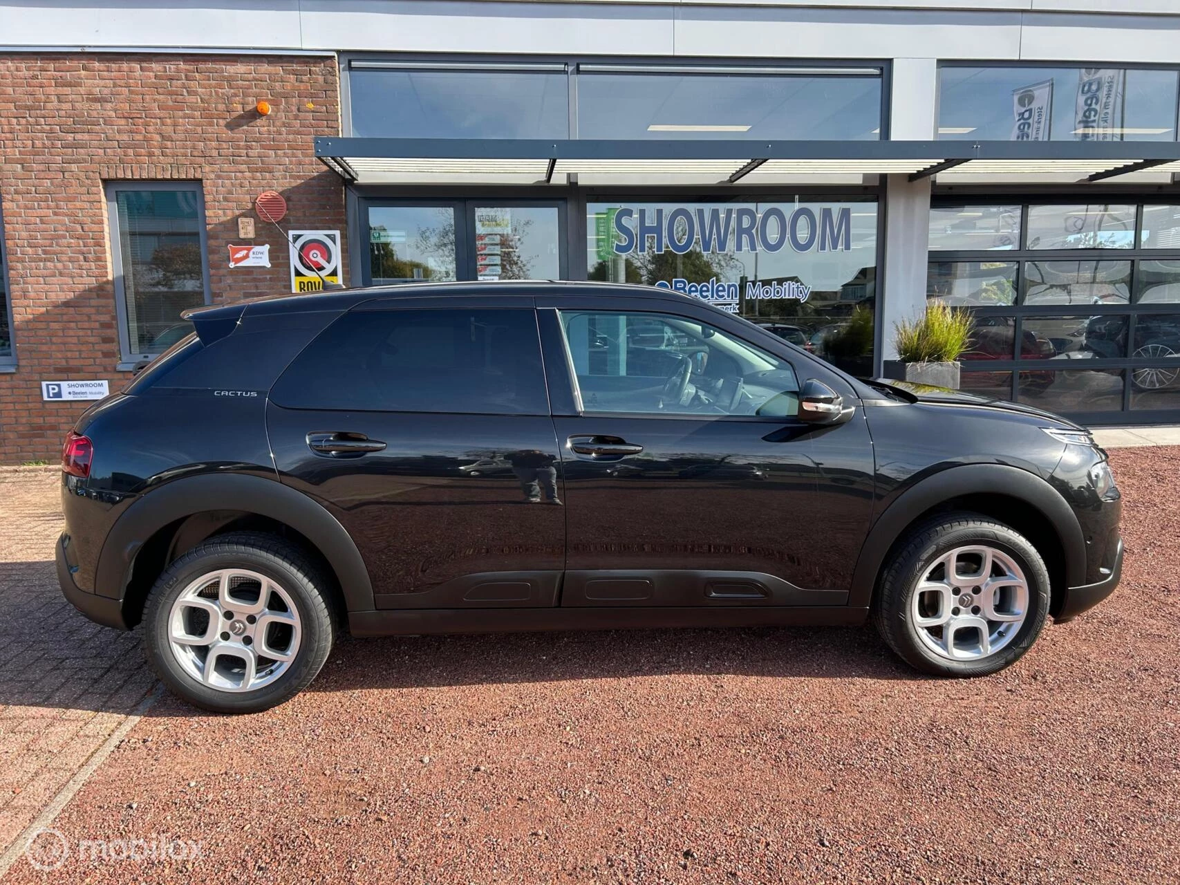 Hoofdafbeelding Citroën C4 Cactus