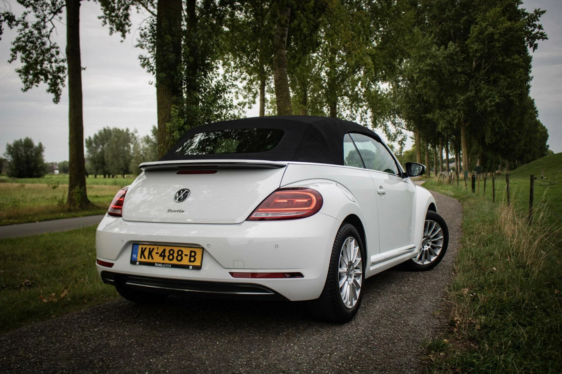 Hoofdafbeelding Volkswagen Beetle