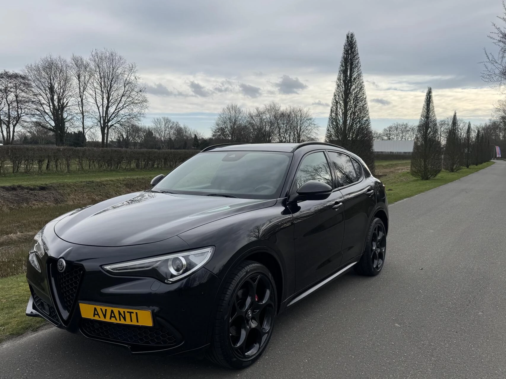Hoofdafbeelding Alfa Romeo Stelvio