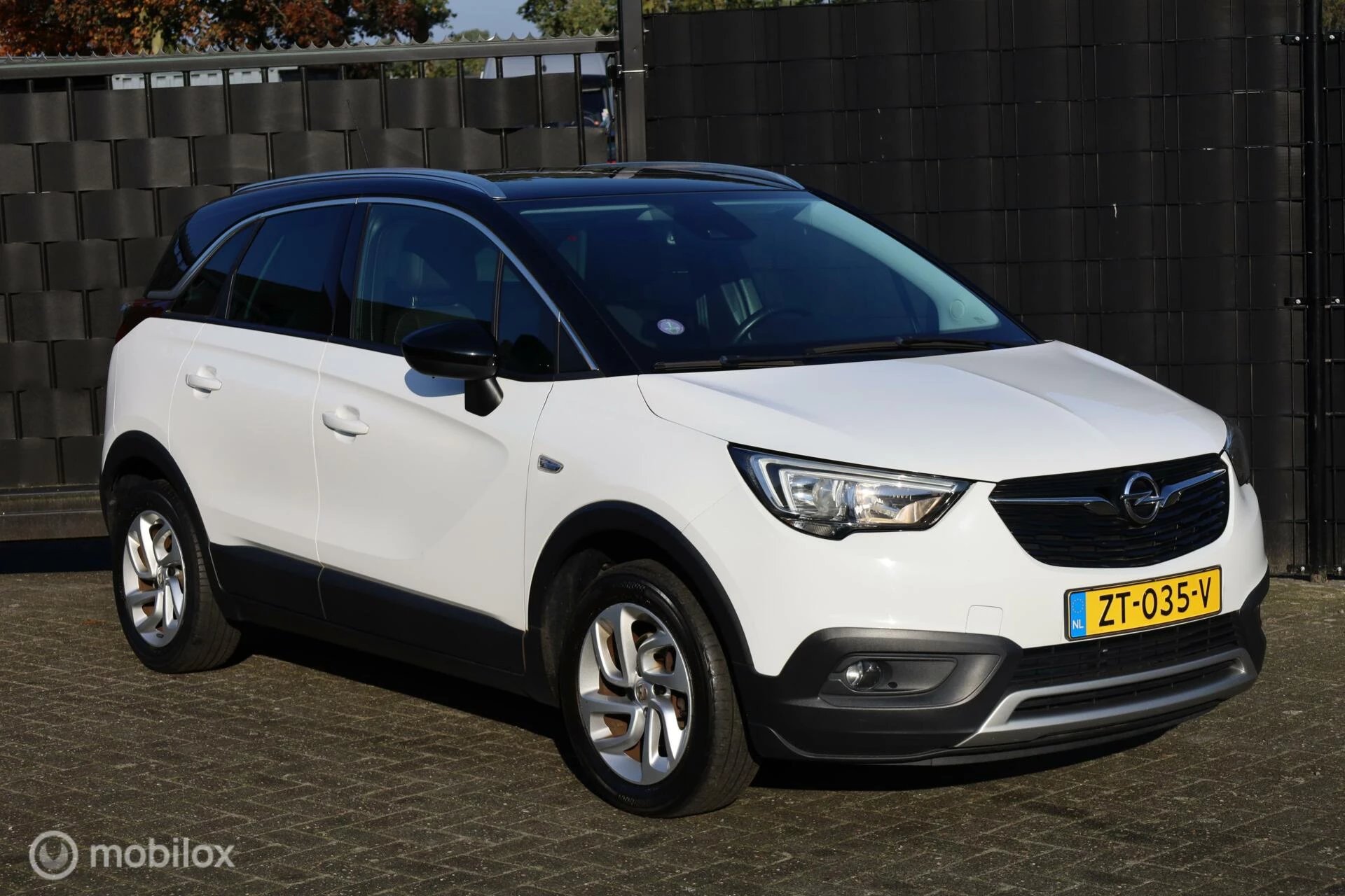 Hoofdafbeelding Opel Crossland X