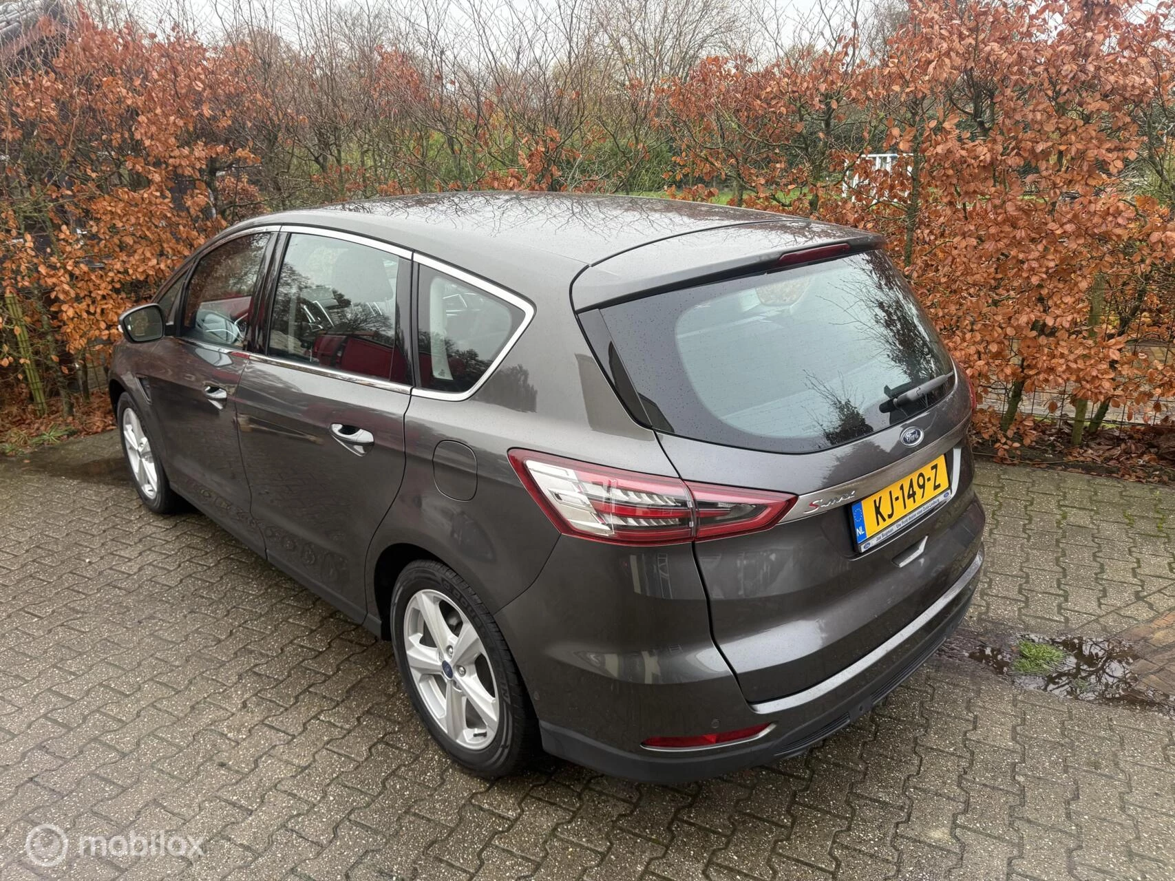 Hoofdafbeelding Ford S-Max
