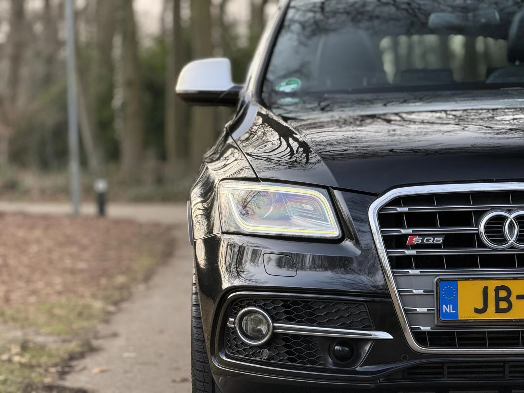 Hoofdafbeelding Audi SQ5