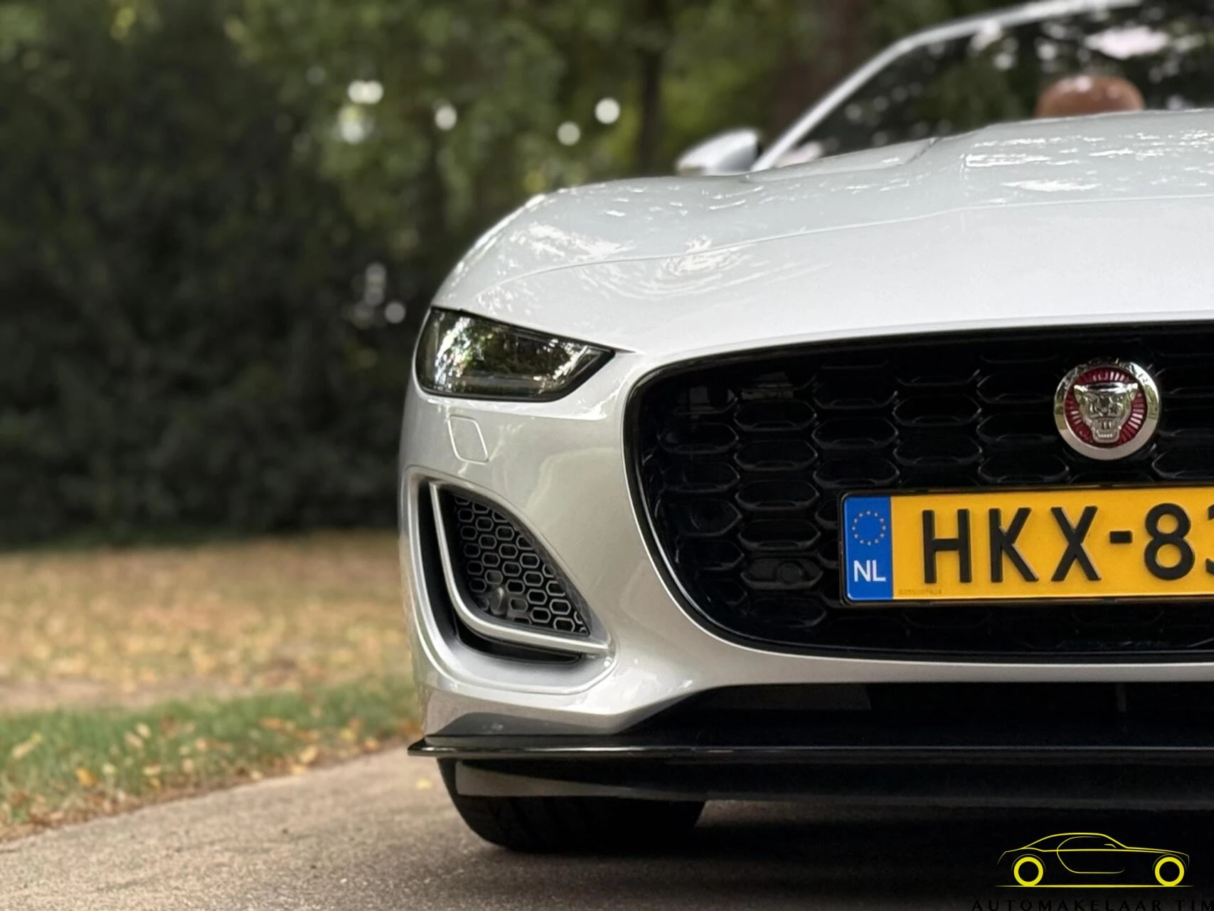 Hoofdafbeelding Jaguar F-Type