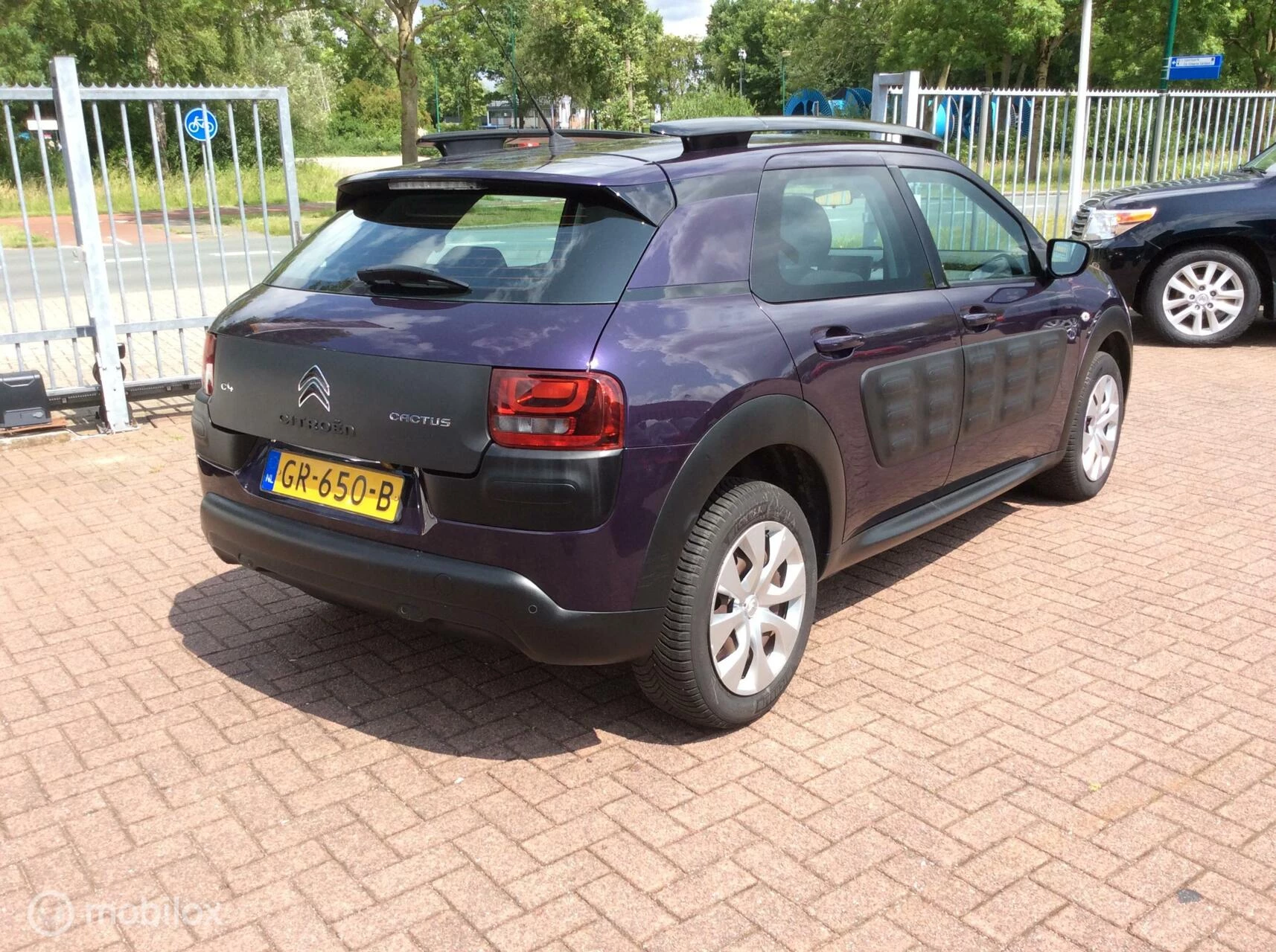Hoofdafbeelding Citroën C4 Cactus