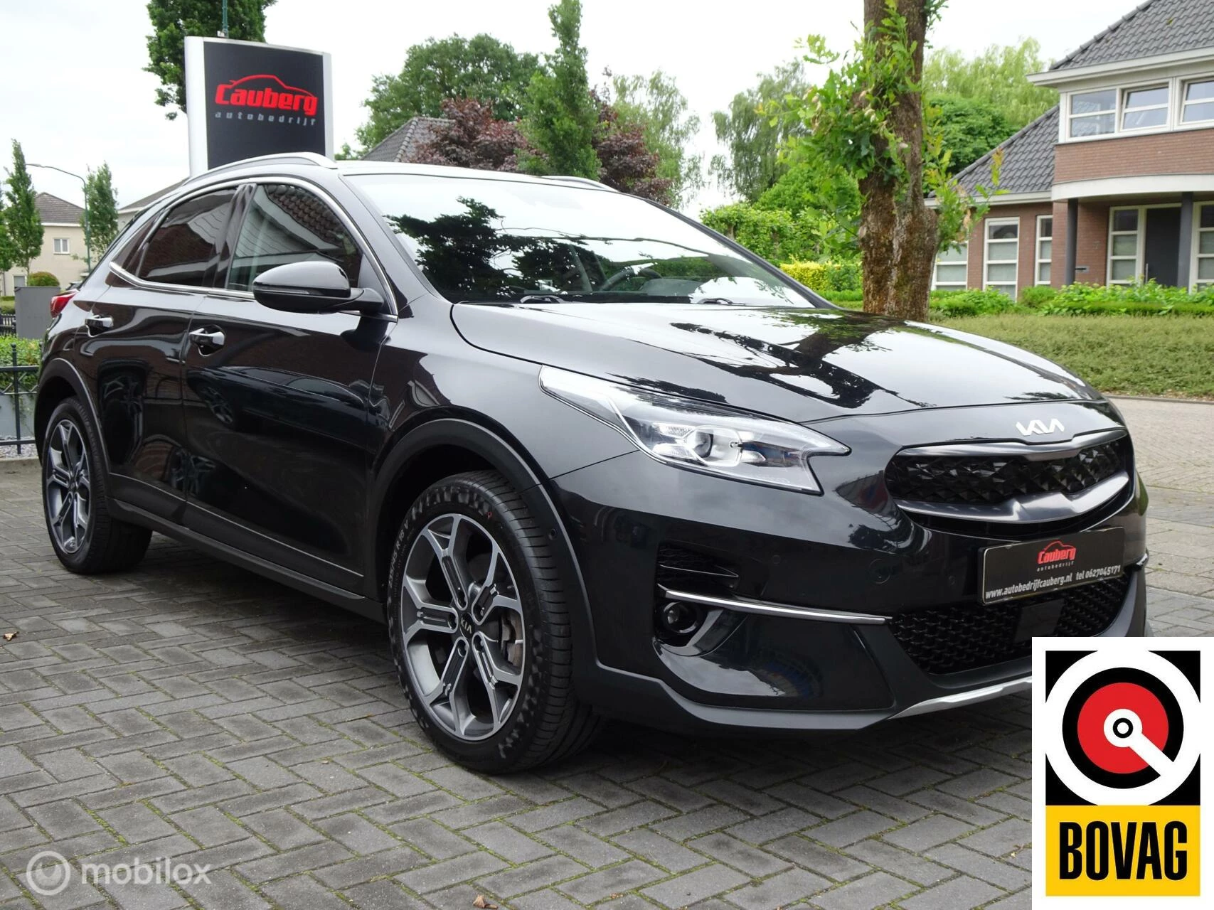 Hoofdafbeelding Kia XCeed