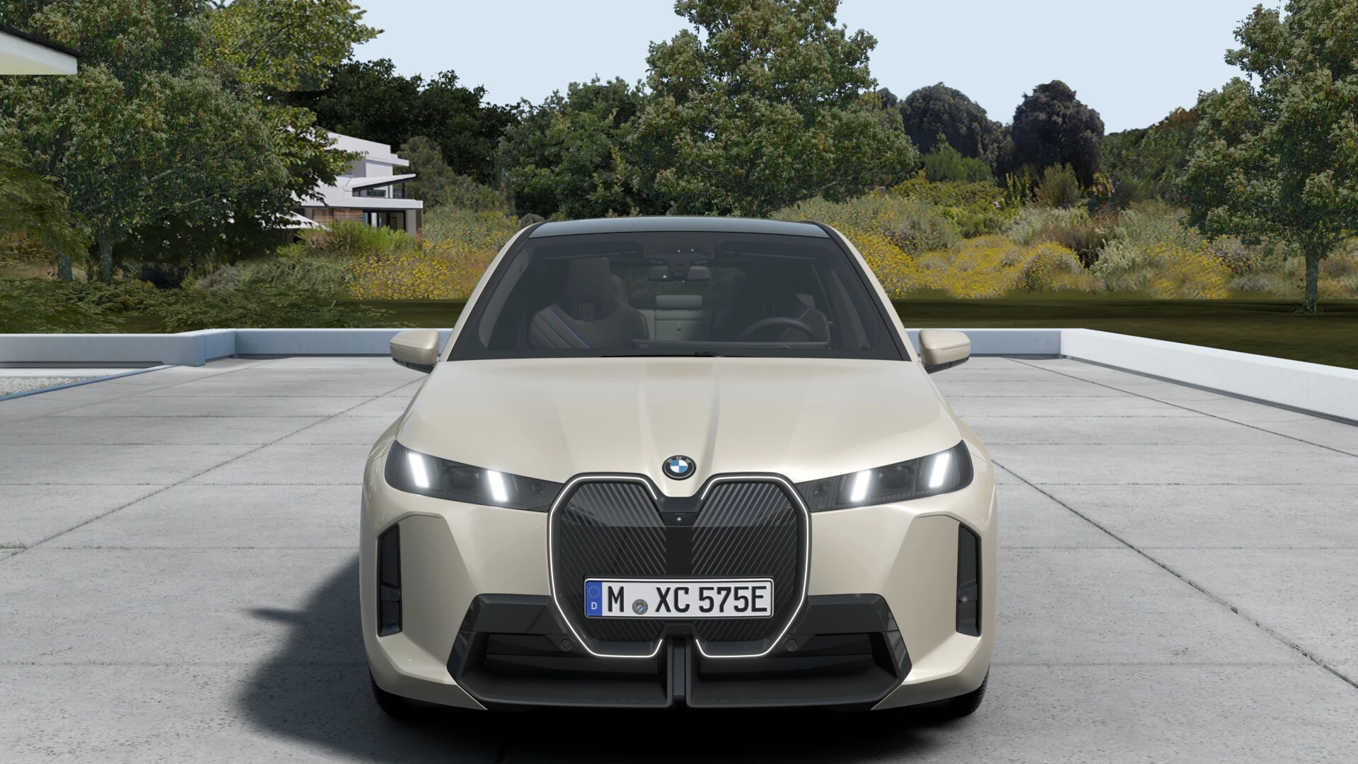 Hoofdafbeelding BMW iX