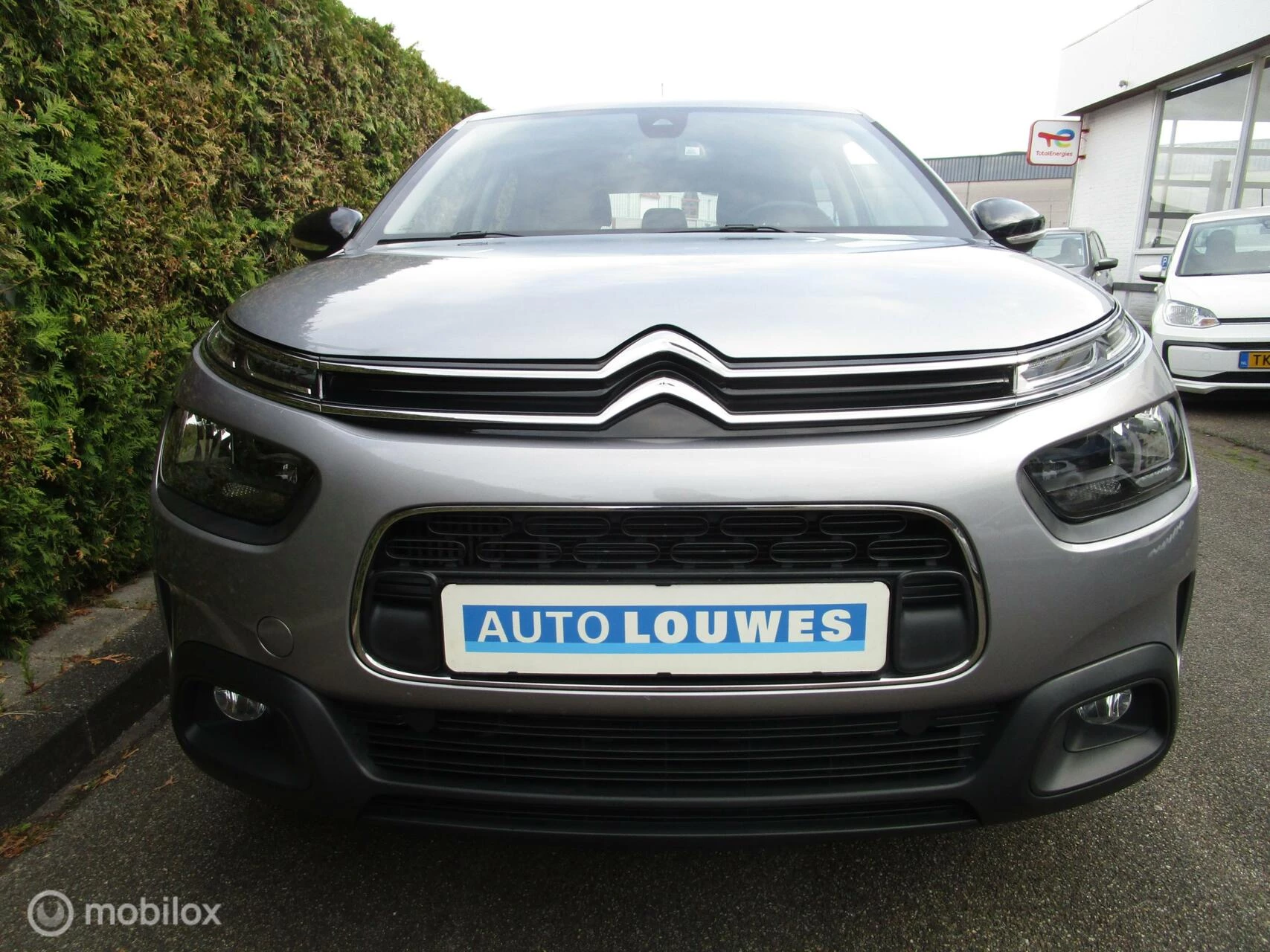 Hoofdafbeelding Citroën C4 Cactus