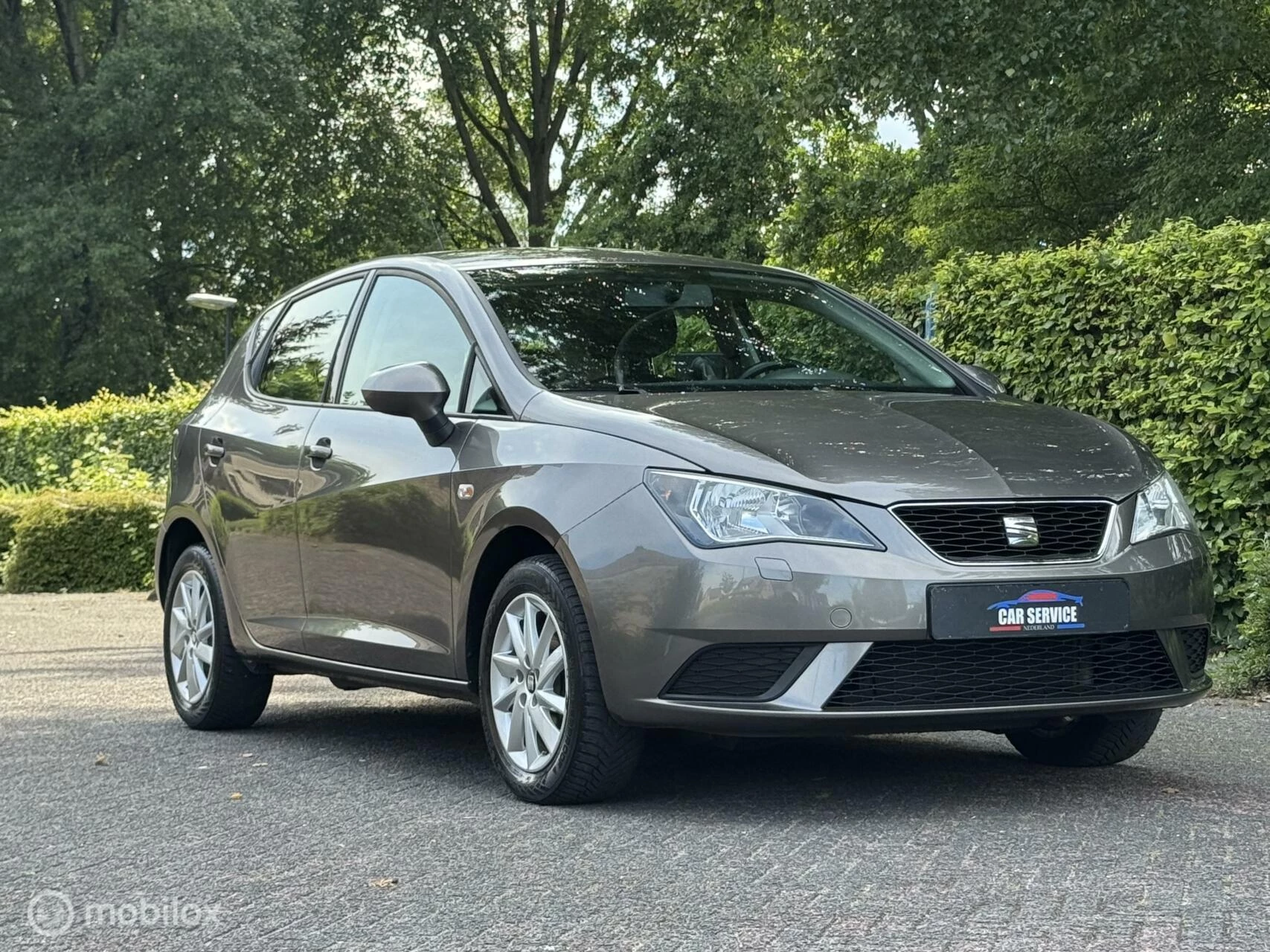 Hoofdafbeelding SEAT Ibiza