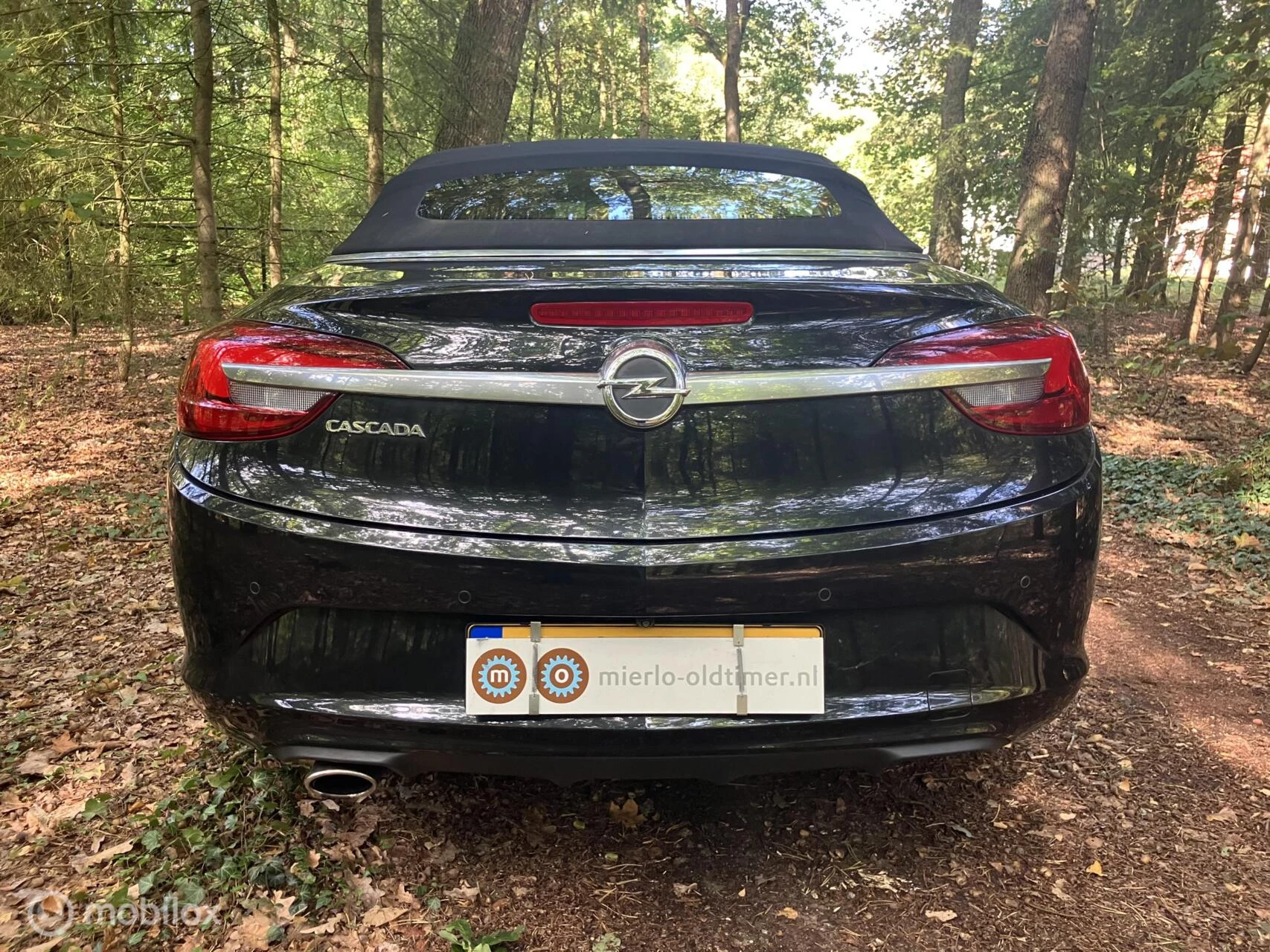 Hoofdafbeelding Opel Cascada