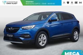 Opel Grandland X 1.2 Turbo 130 Pk Business Executive | Navigatie Pro | Climate Control | Parkeersensoren/Camera  | Privacy Glass |  Carplay/AndroidAuto |