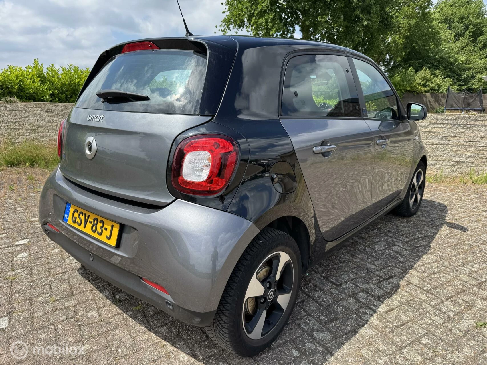 Hoofdafbeelding Smart Forfour
