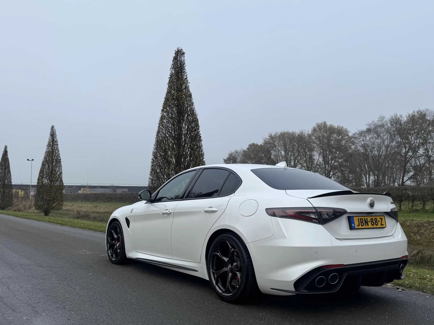Hoofdafbeelding Alfa Romeo Giulia