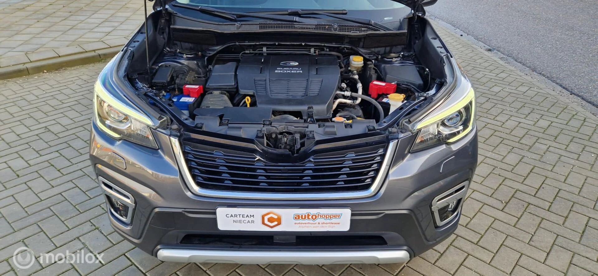 Hoofdafbeelding Subaru Forester