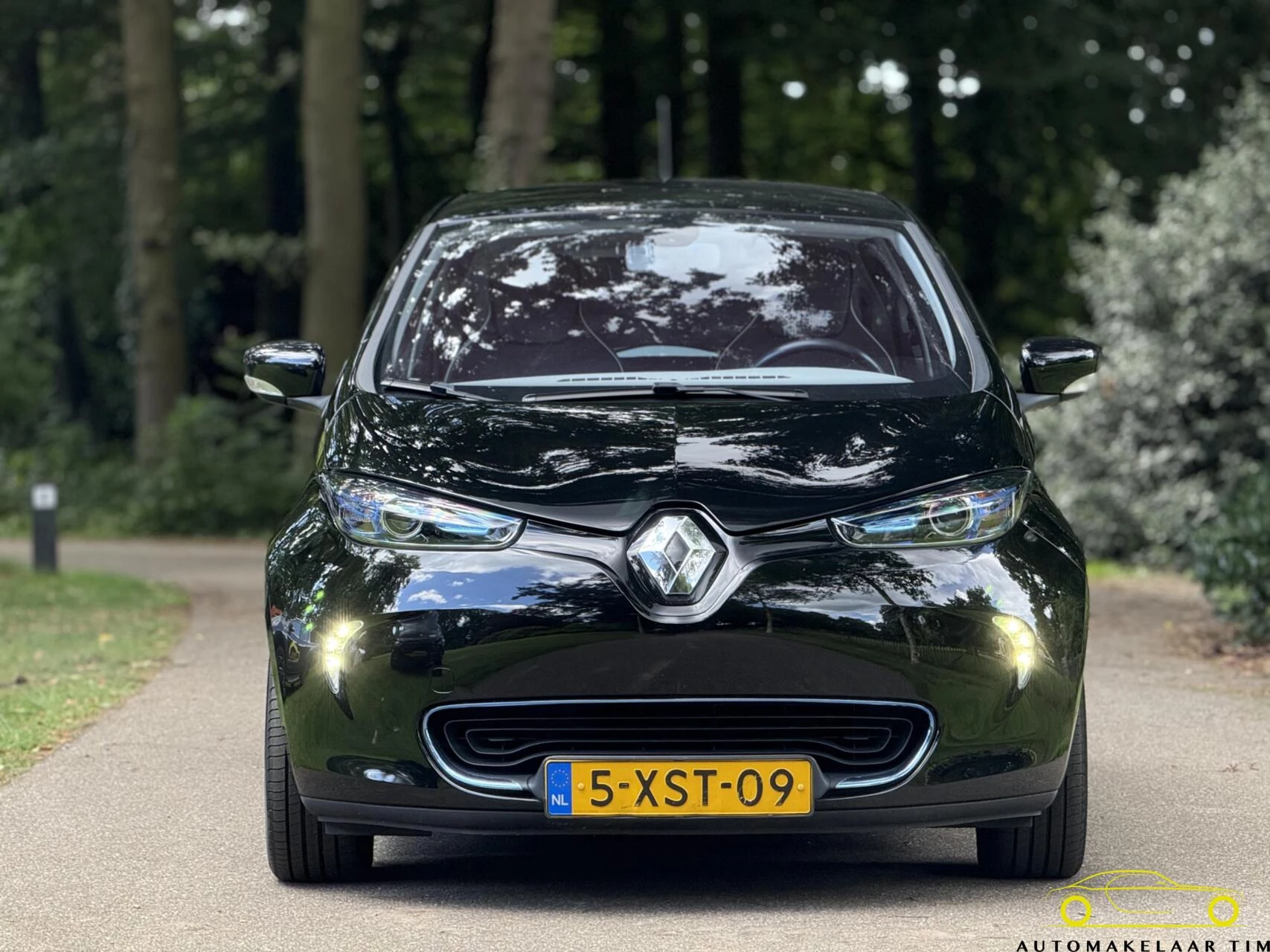 Hoofdafbeelding Renault ZOE